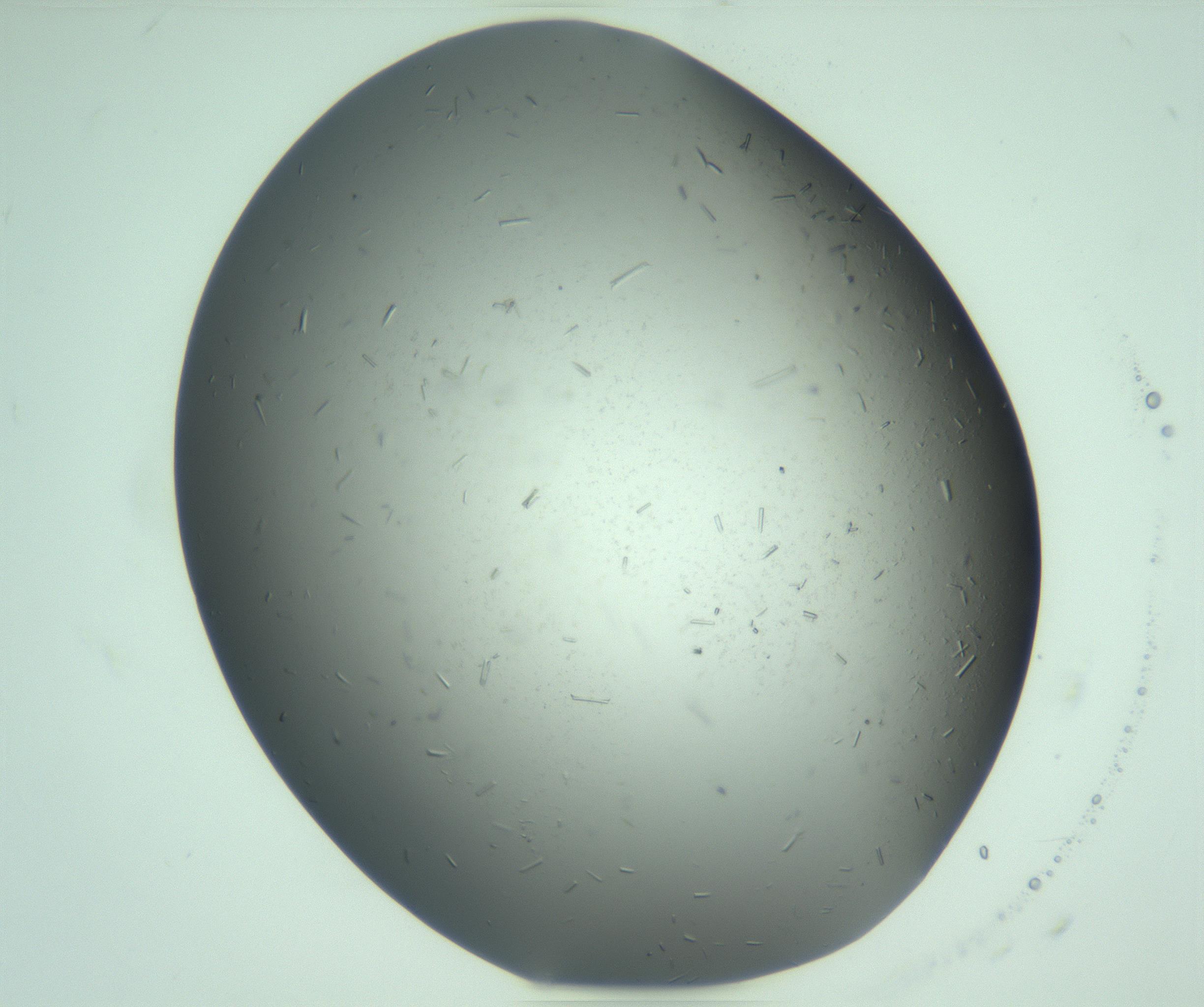 RI01_03_000_0212_Proj1_Clon1_MC_0000MC103280_003_170217_07_01_01_00_99_002_001_RAI.jpg