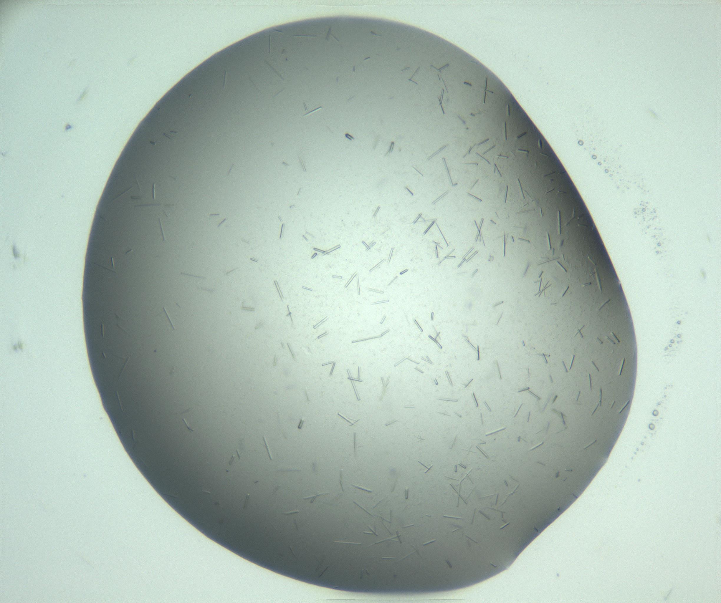 RI01_03_000_0212_Proj1_Clon1_MC_0000MC103280_003_170217_07_08_01_00_99_002_001_RAI.jpg
