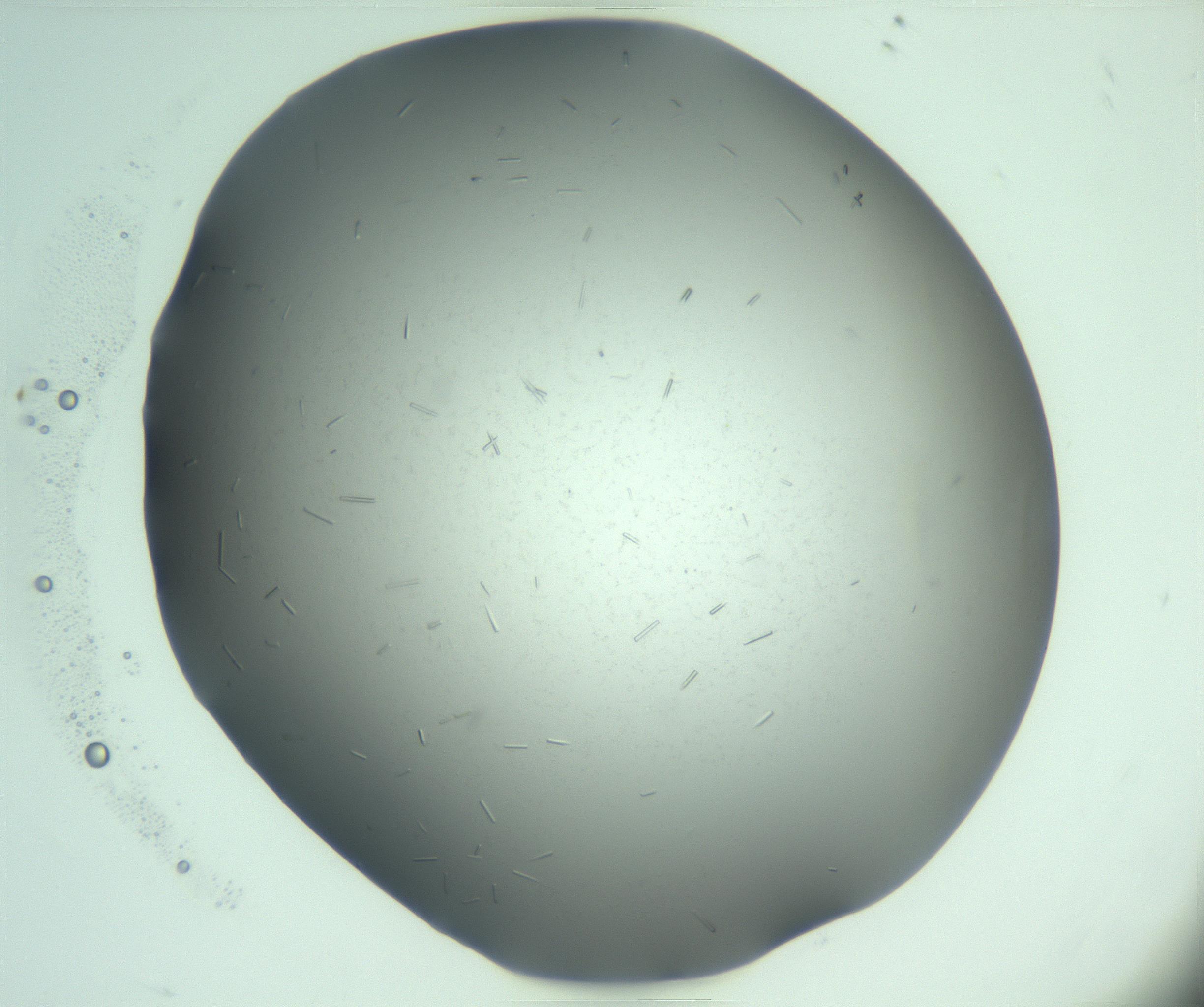 RI01_03_000_0212_Proj1_Clon1_MC_0000MC103280_003_170217_08_02_01_00_99_002_001_RAI.jpg