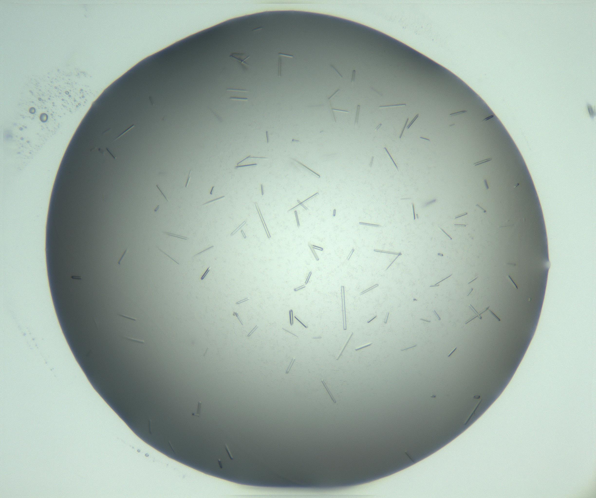 RI01_03_000_0212_Proj1_Clon1_MC_0000MC103280_003_170217_08_02_02_00_99_002_001_RAI.jpg