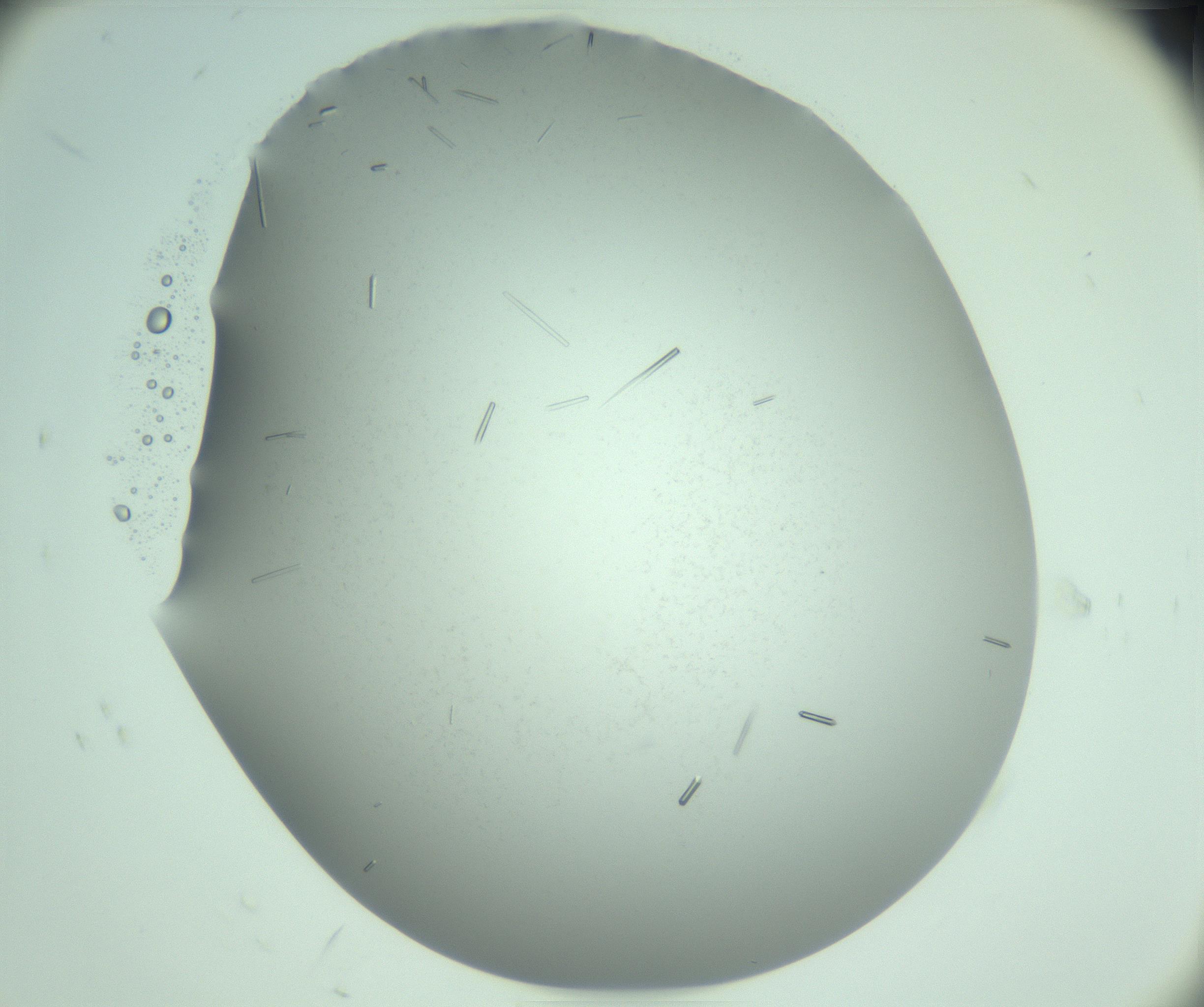 RI01_03_000_0212_Proj1_Clon1_MC_0000MC103280_003_170217_08_05_02_00_99_002_001_RAI.jpg