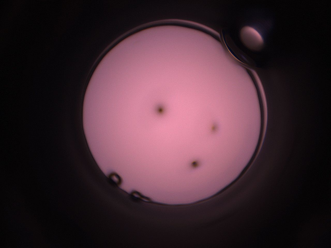 05i5_O19_ImagerDefaults_1.jpg