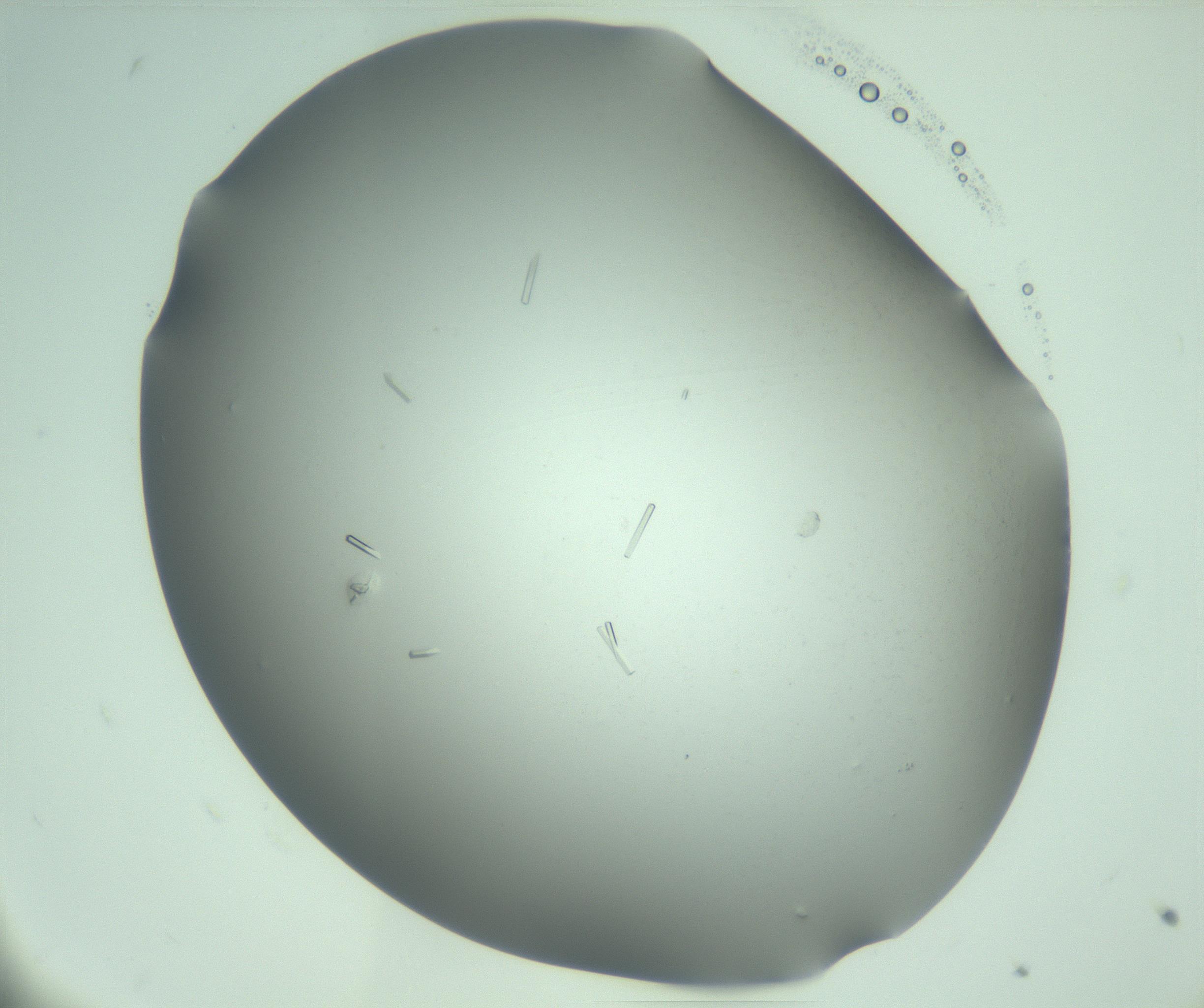RI01_03_000_0212_Proj1_Clon1_MC_0000MC103280_003_170217_09_03_02_00_99_002_001_RAI.jpg