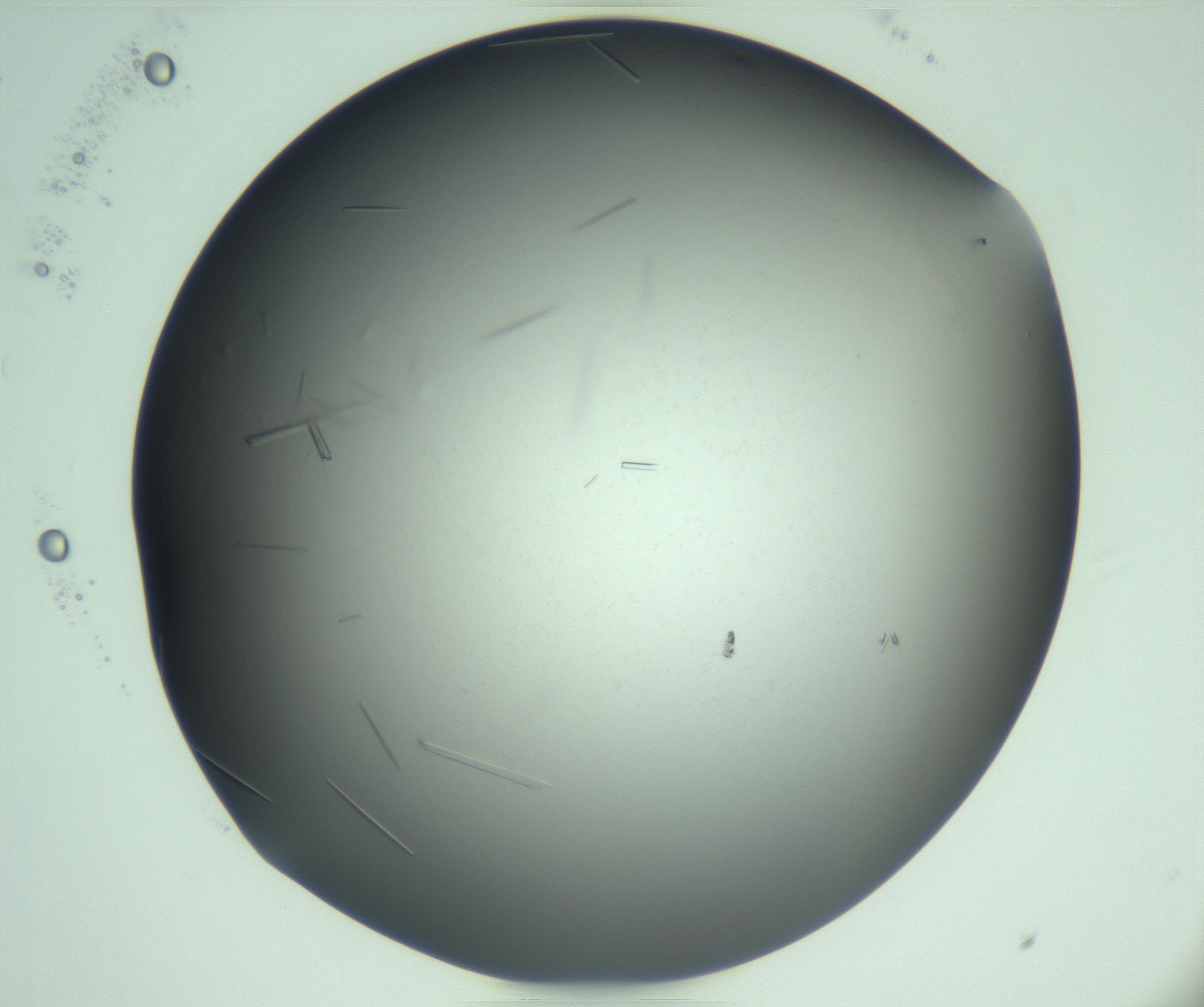RI01_03_000_0212_Proj1_Clon1_MC_0000MC103280_003_170217_10_01_02_00_99_002_001_RAI.jpg