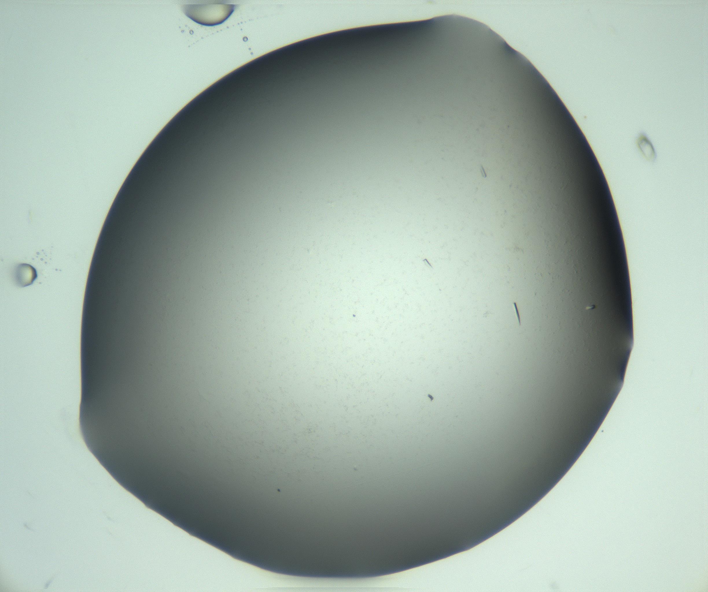 RI01_03_000_0212_Proj1_Clon1_MC_0000MC103280_003_170217_12_01_01_00_99_002_001_RAI.jpg