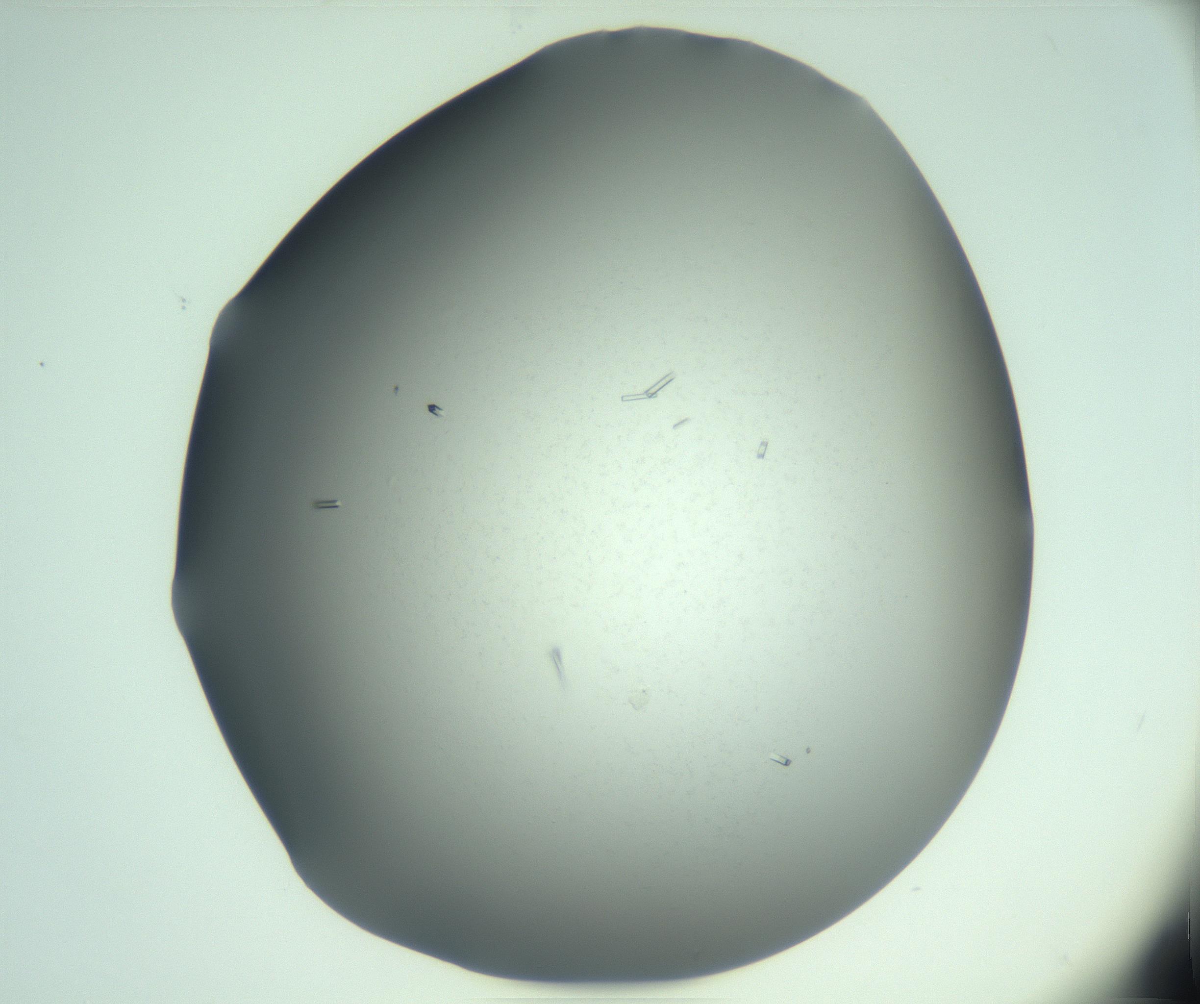 RI01_03_000_0212_Proj1_Clon1_MC_0000MC103280_003_170217_12_01_02_00_99_002_001_RAI.jpg