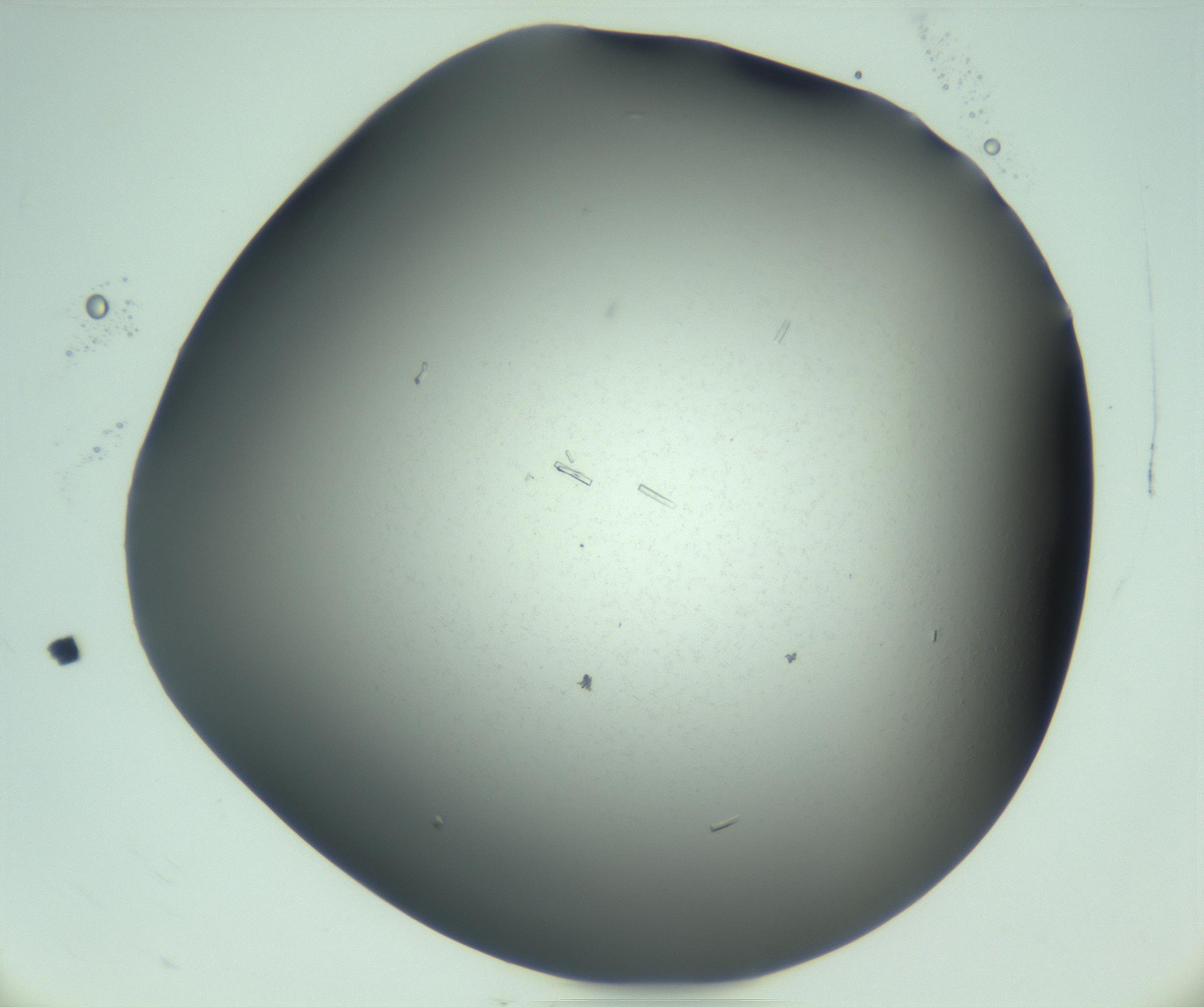 RI01_03_000_0212_Proj1_Clon1_MC_0000MC103280_003_170217_12_03_02_00_99_002_001_RAI.jpg