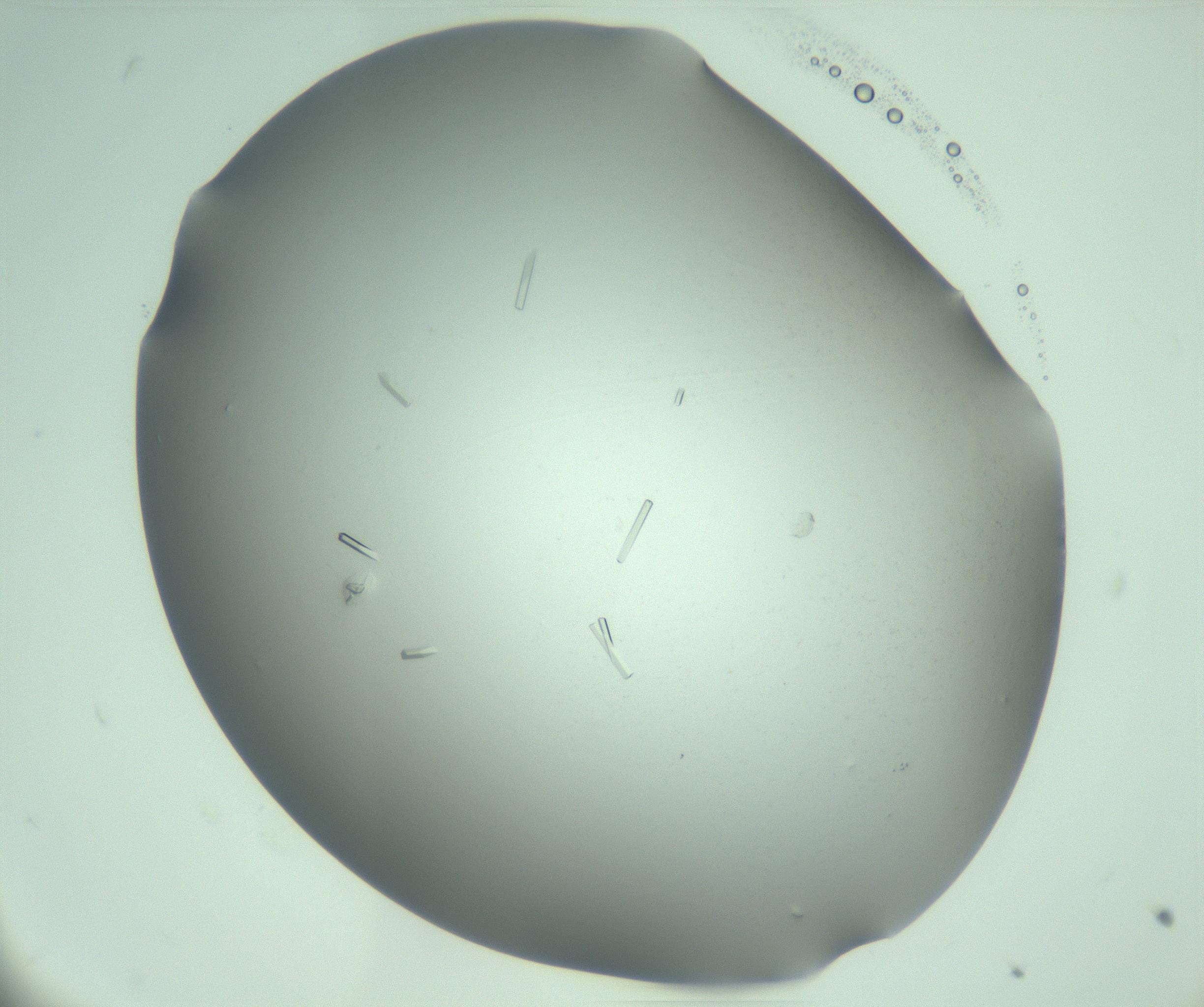 RI01_03_000_0212_Proj1_Clon1_MC_0000MC103280_004_170219_09_03_02_00_99_002_001_RAI.jpg