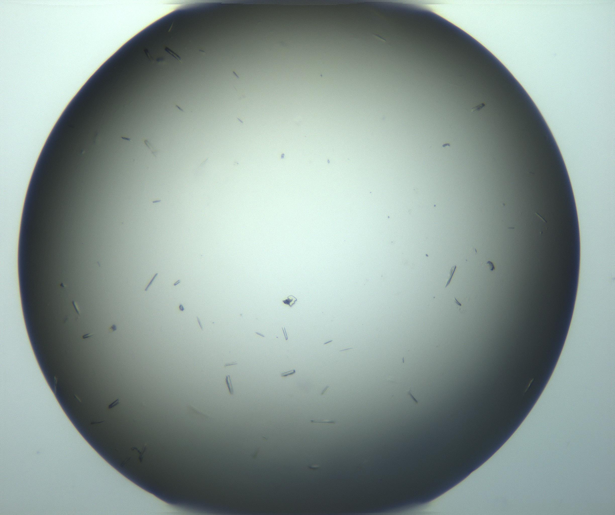 RI01_03_000_0212_Proj1_Clon1_MC_0000MC103282_004_170221_04_07_02_00_99_002_001_RAI.jpg
