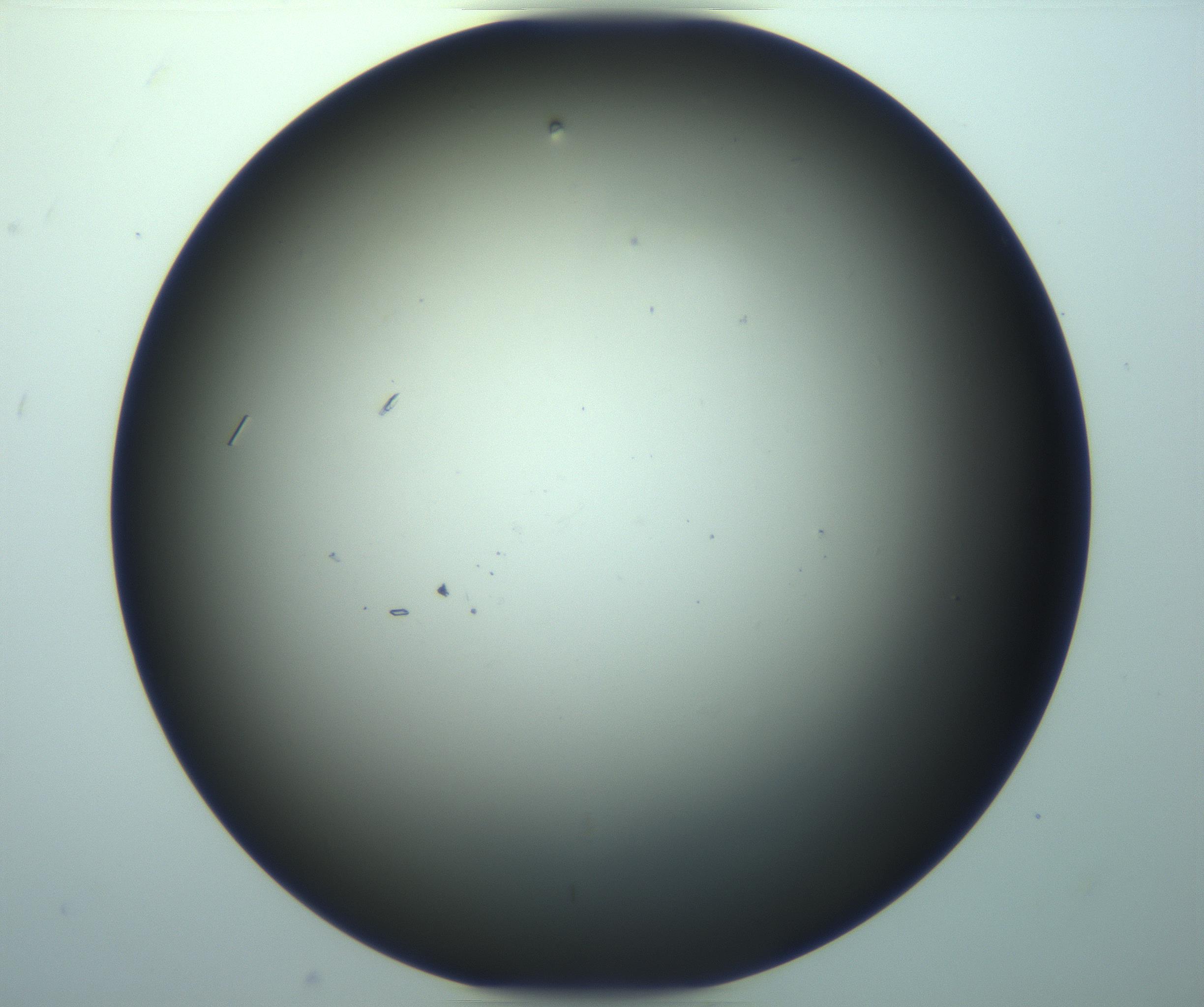 RI01_03_000_0212_Proj1_Clon1_MC_0000MC103282_004_170221_09_08_02_00_99_002_001_RAI.jpg