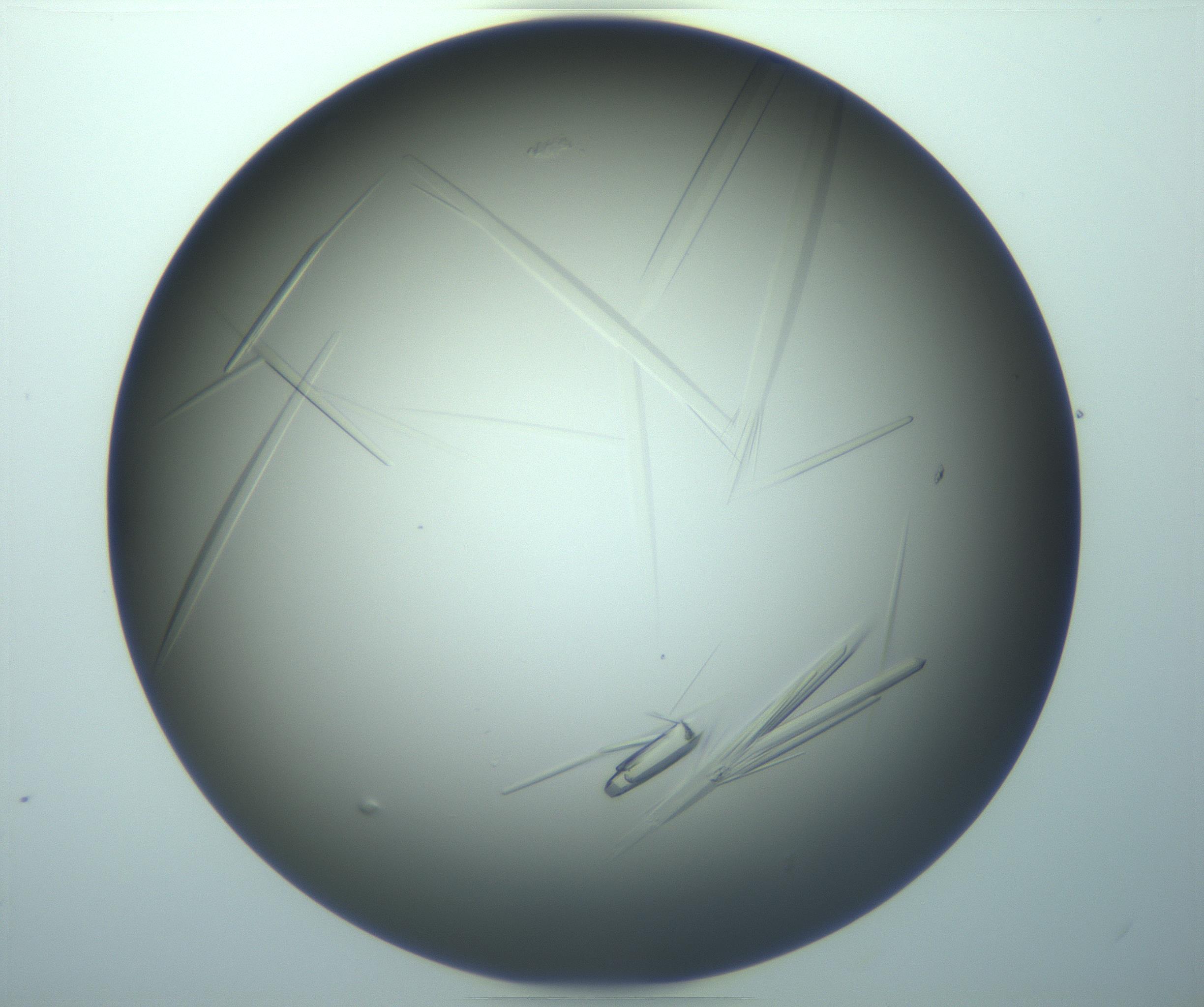 RI01_03_000_0212_Proj1_Clon1_MC_0000MC103283_003_170219_01_01_02_00_99_002_001_RAI.jpg