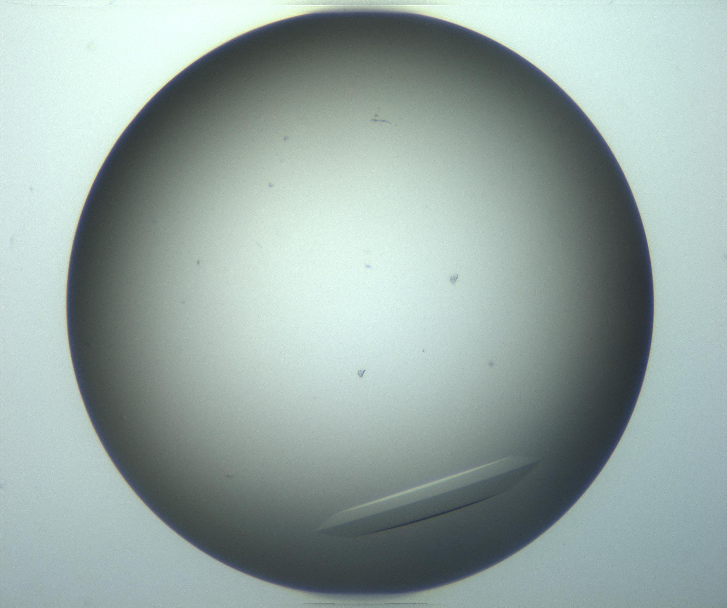 RI01_03_000_0212_Proj1_Clon1_MC_0000MC103283_003_170219_01_07_02_00_99_002_001_RAI.jpg