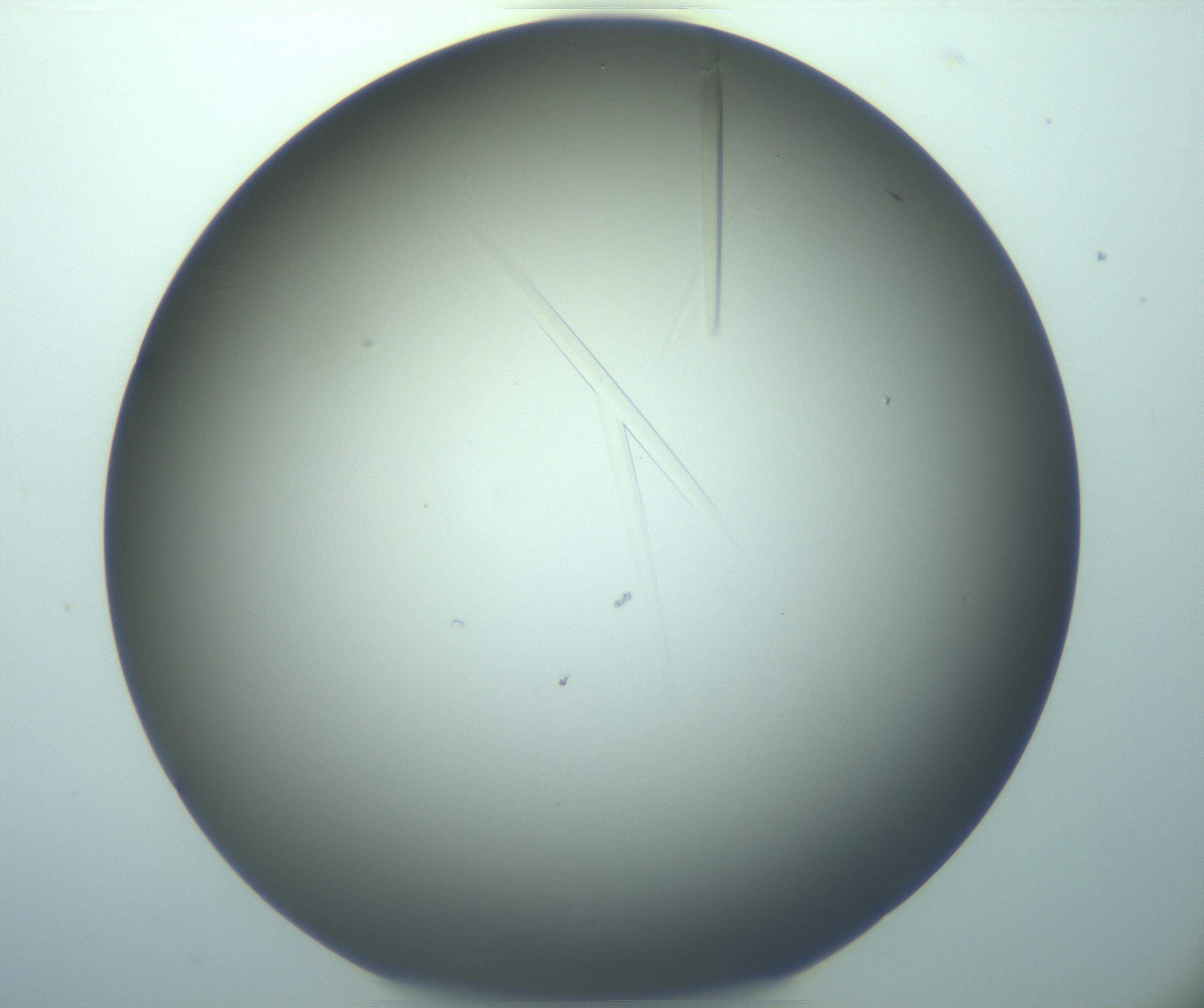RI01_03_000_0212_Proj1_Clon1_MC_0000MC103283_003_170219_02_03_02_00_99_002_001_RAI.jpg