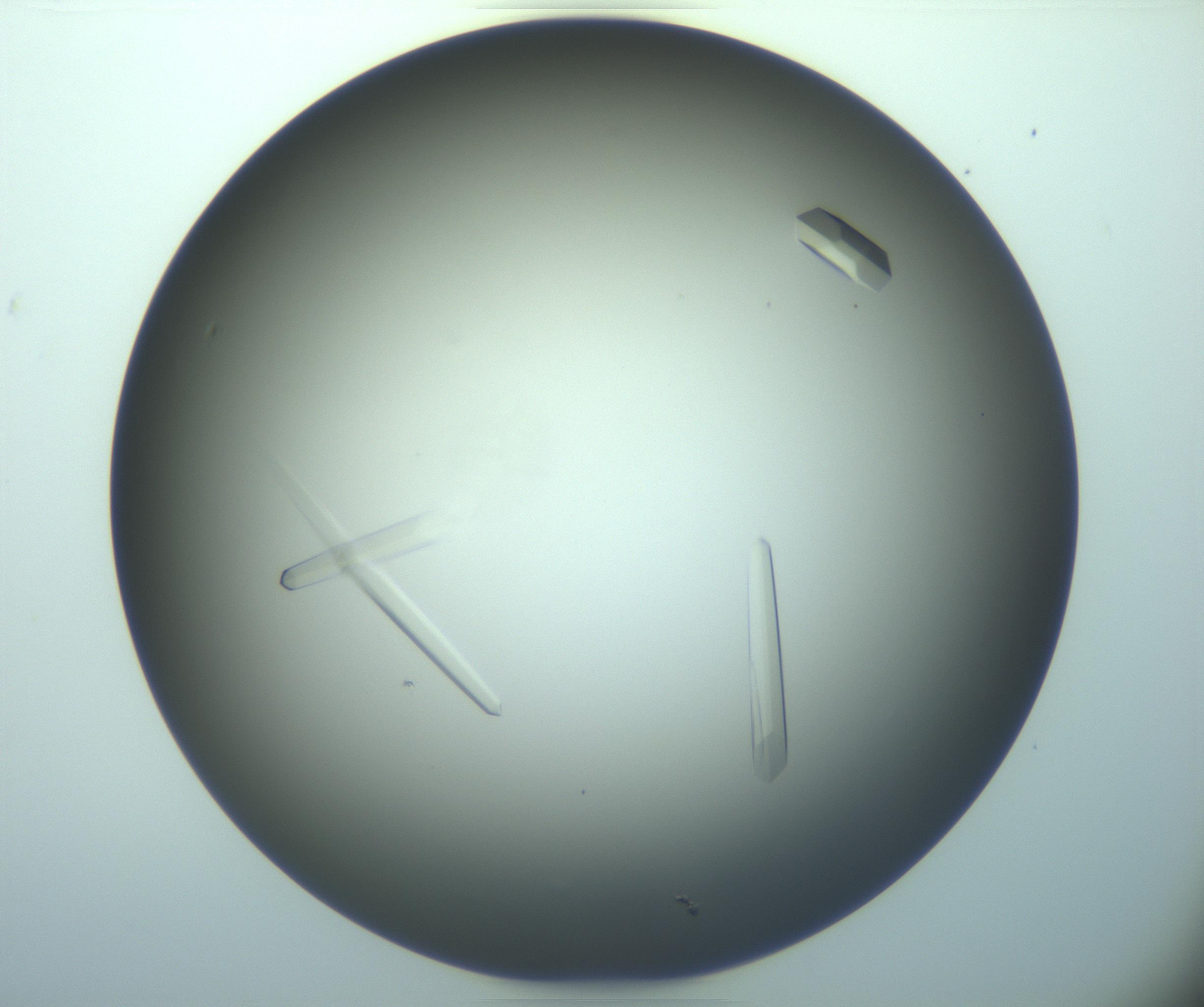RI01_03_000_0212_Proj1_Clon1_MC_0000MC103283_003_170219_03_03_02_00_99_002_001_RAI.jpg