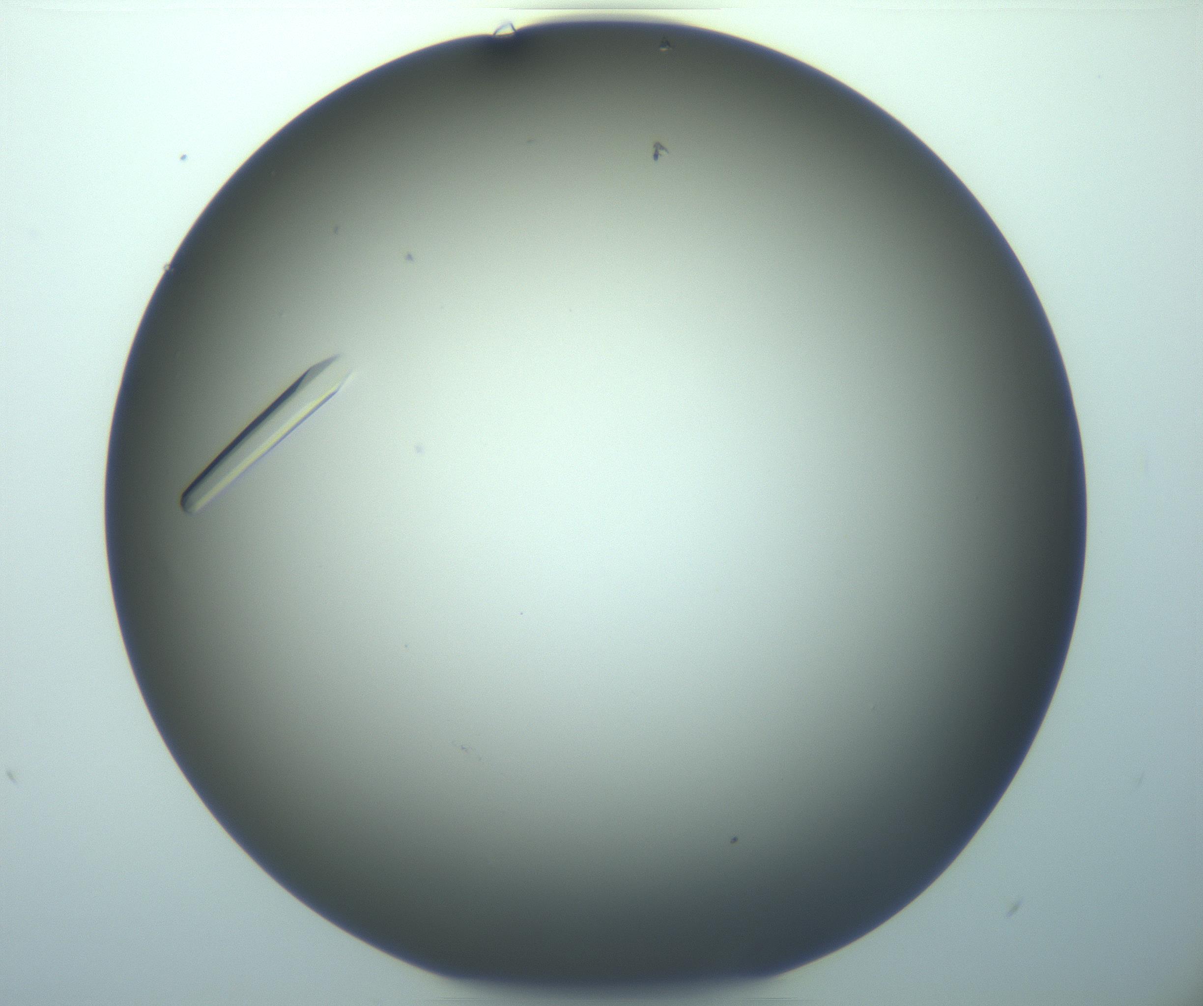 RI01_03_000_0212_Proj1_Clon1_MC_0000MC103283_003_170219_06_03_02_00_99_002_001_RAI.jpg