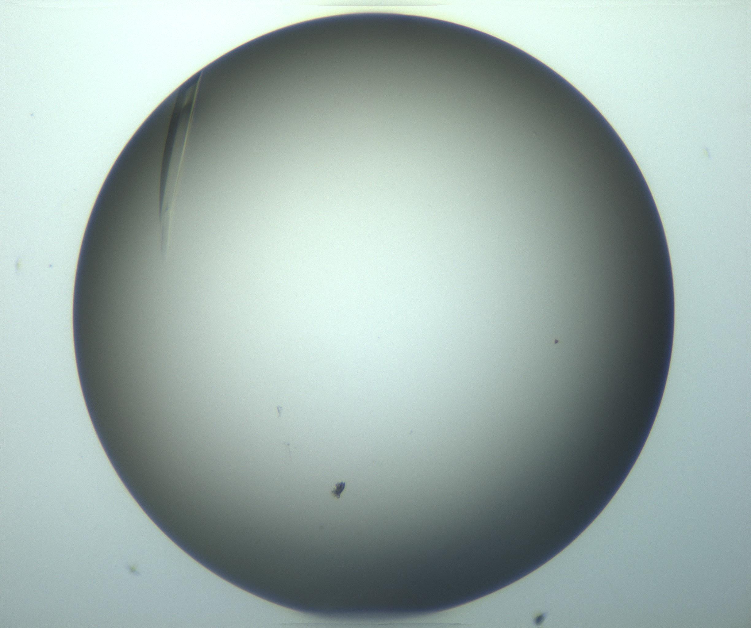 RI01_03_000_0212_Proj1_Clon1_MC_0000MC103283_003_170219_08_03_02_00_99_002_001_RAI.jpg