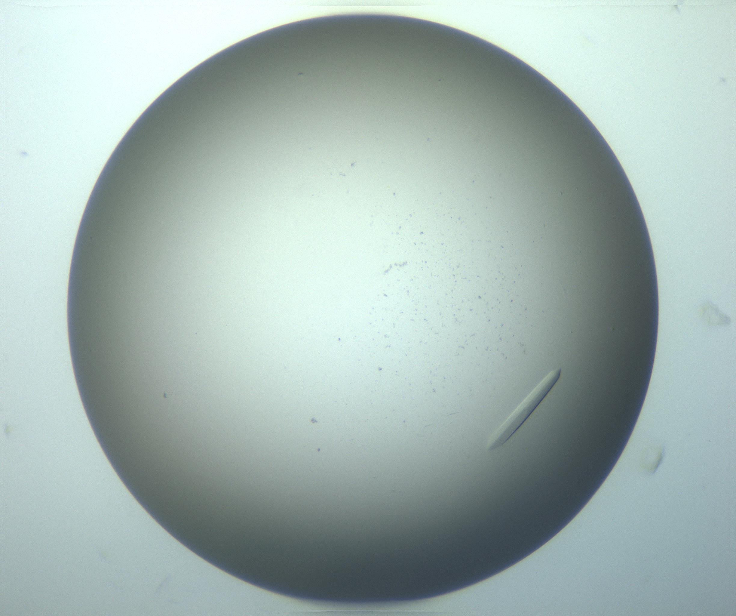 RI01_03_000_0212_Proj1_Clon1_MC_0000MC103283_003_170219_08_05_02_00_99_002_001_RAI.jpg