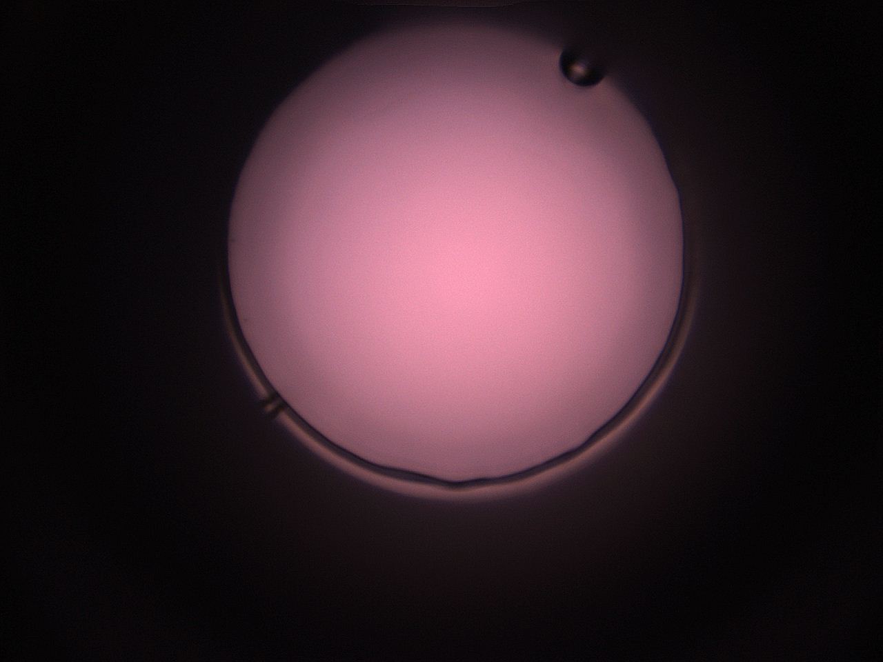 05i5_P7_ImagerDefaults_1.jpg