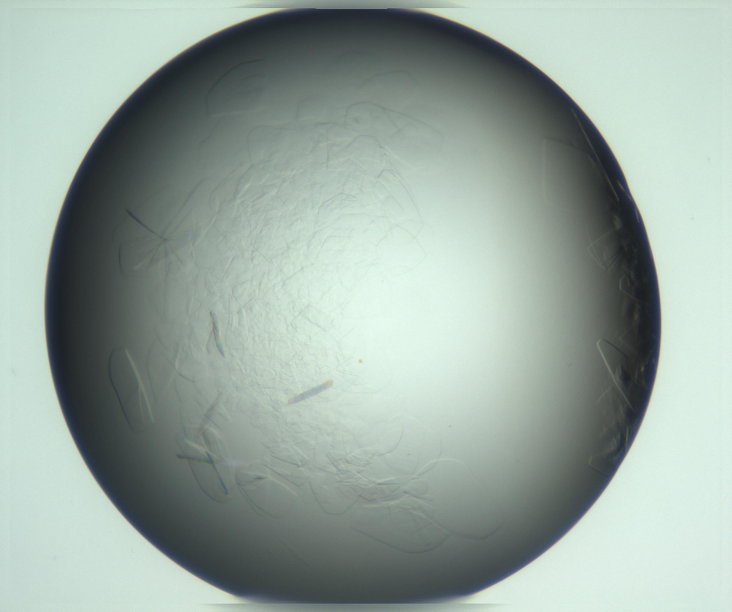 RI01_03_000_0212_Proj1_Clon1_MC_0000MC103285_002_170218_02_05_01_00_99_002_001_RAI.jpg