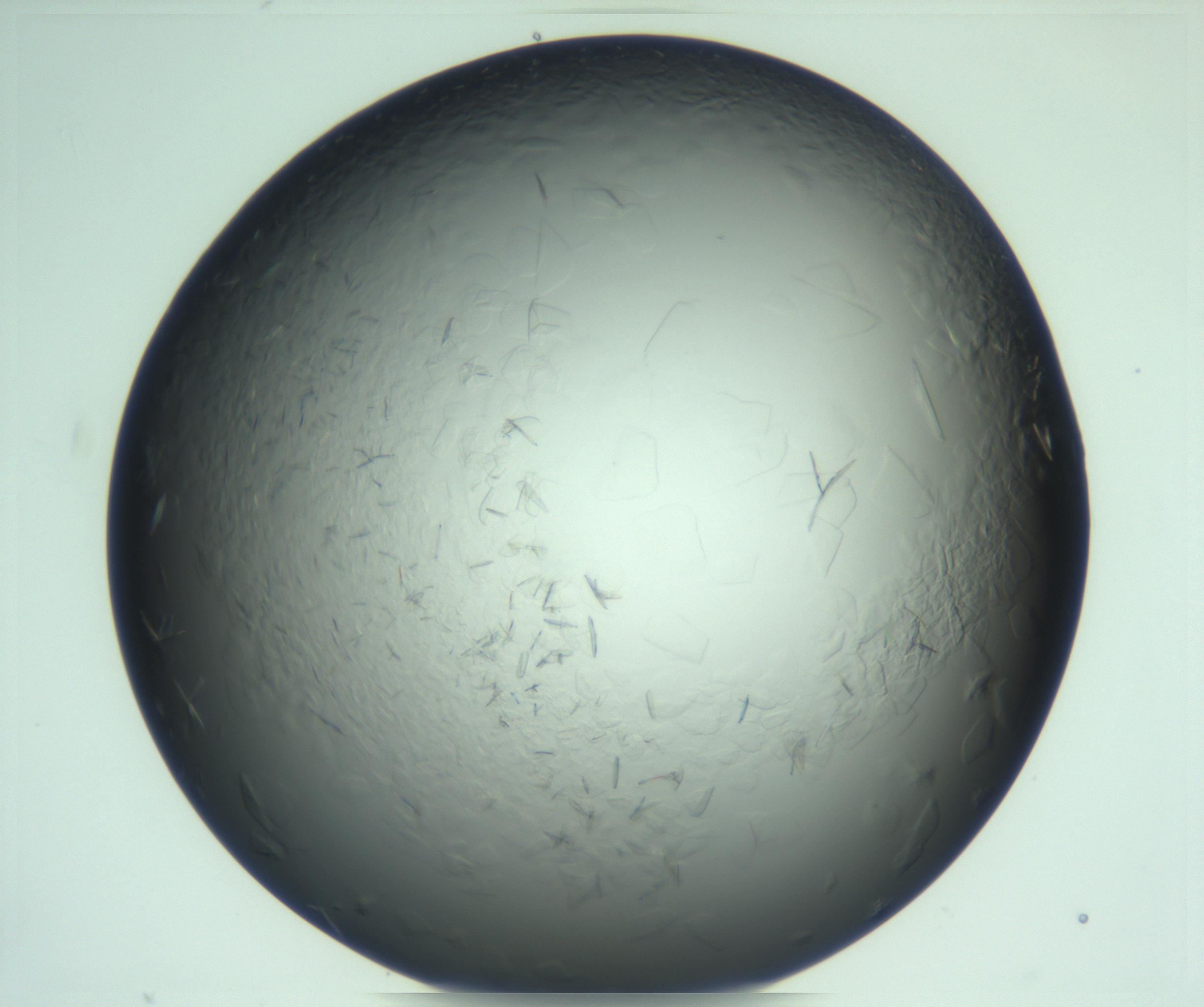 RI01_03_000_0212_Proj1_Clon1_MC_0000MC103285_002_170218_03_05_02_00_99_002_001_RAI.jpg