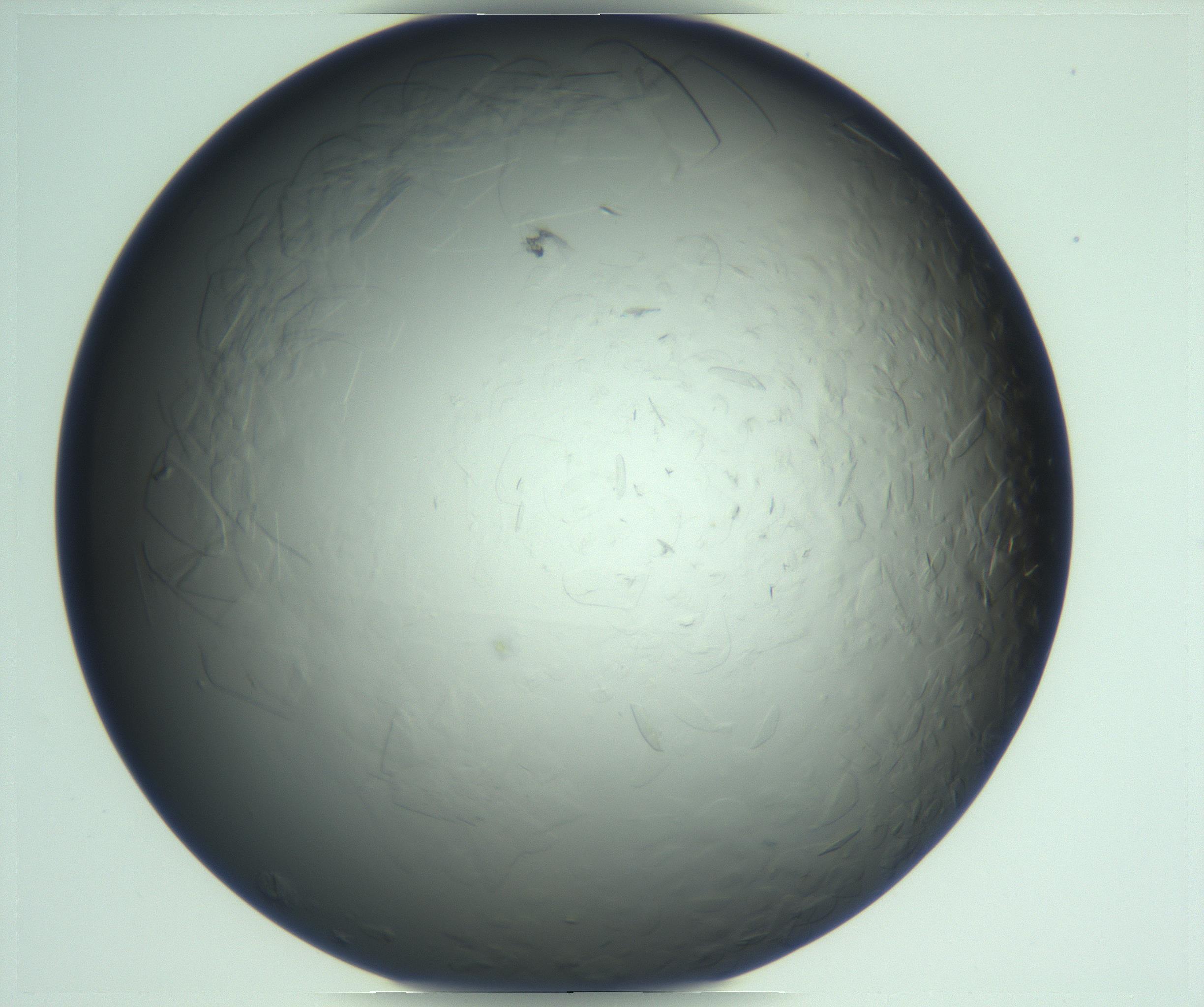 RI01_03_000_0212_Proj1_Clon1_MC_0000MC103285_002_170218_04_05_01_00_99_002_001_RAI.jpg