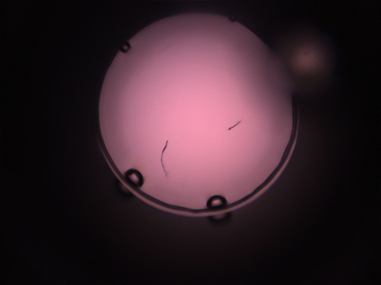 05i5_P8_ImagerDefaults_1.jpg