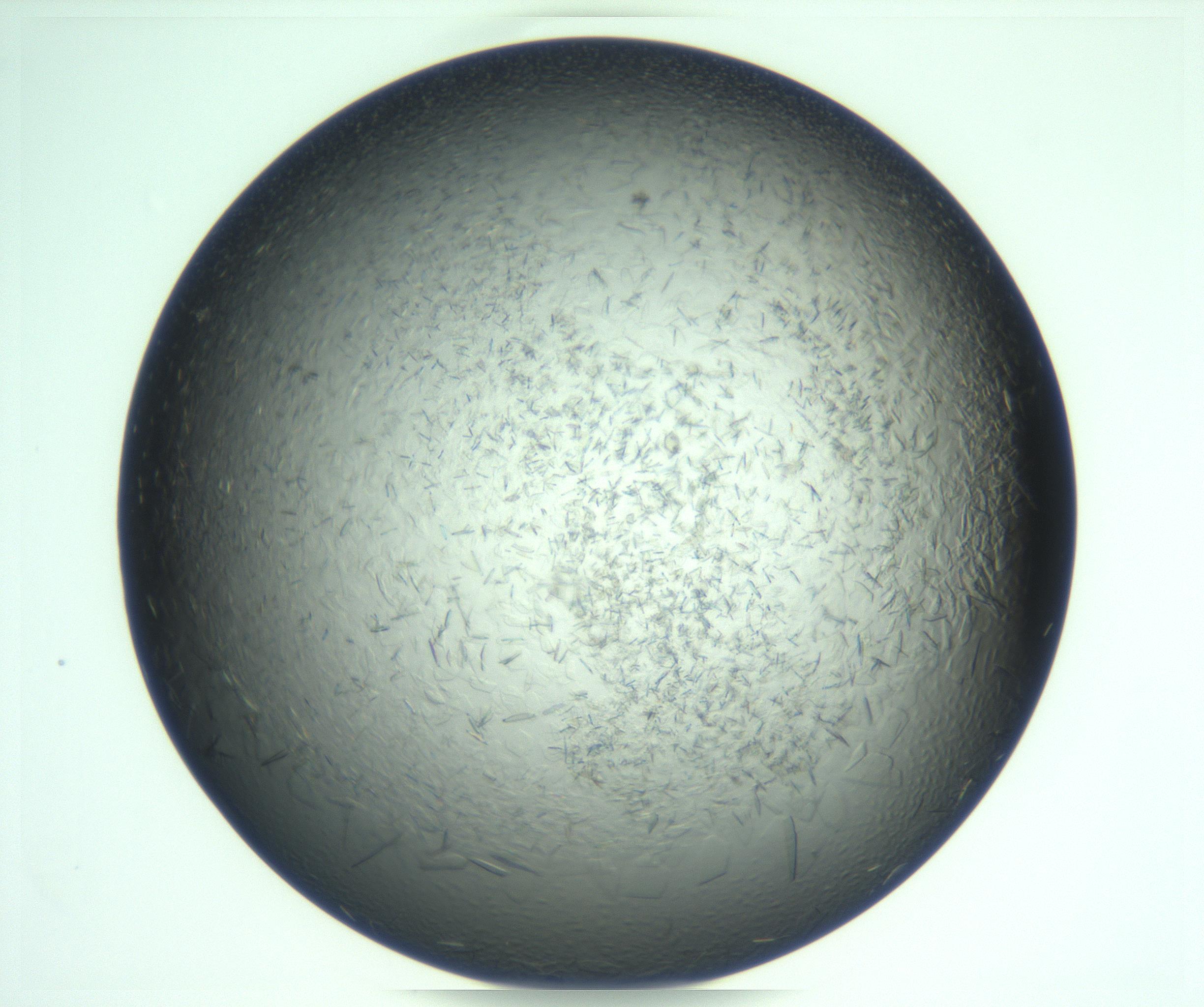 RI01_03_000_0212_Proj1_Clon1_MC_0000MC103285_002_170218_05_05_01_00_99_002_001_RAI.jpg