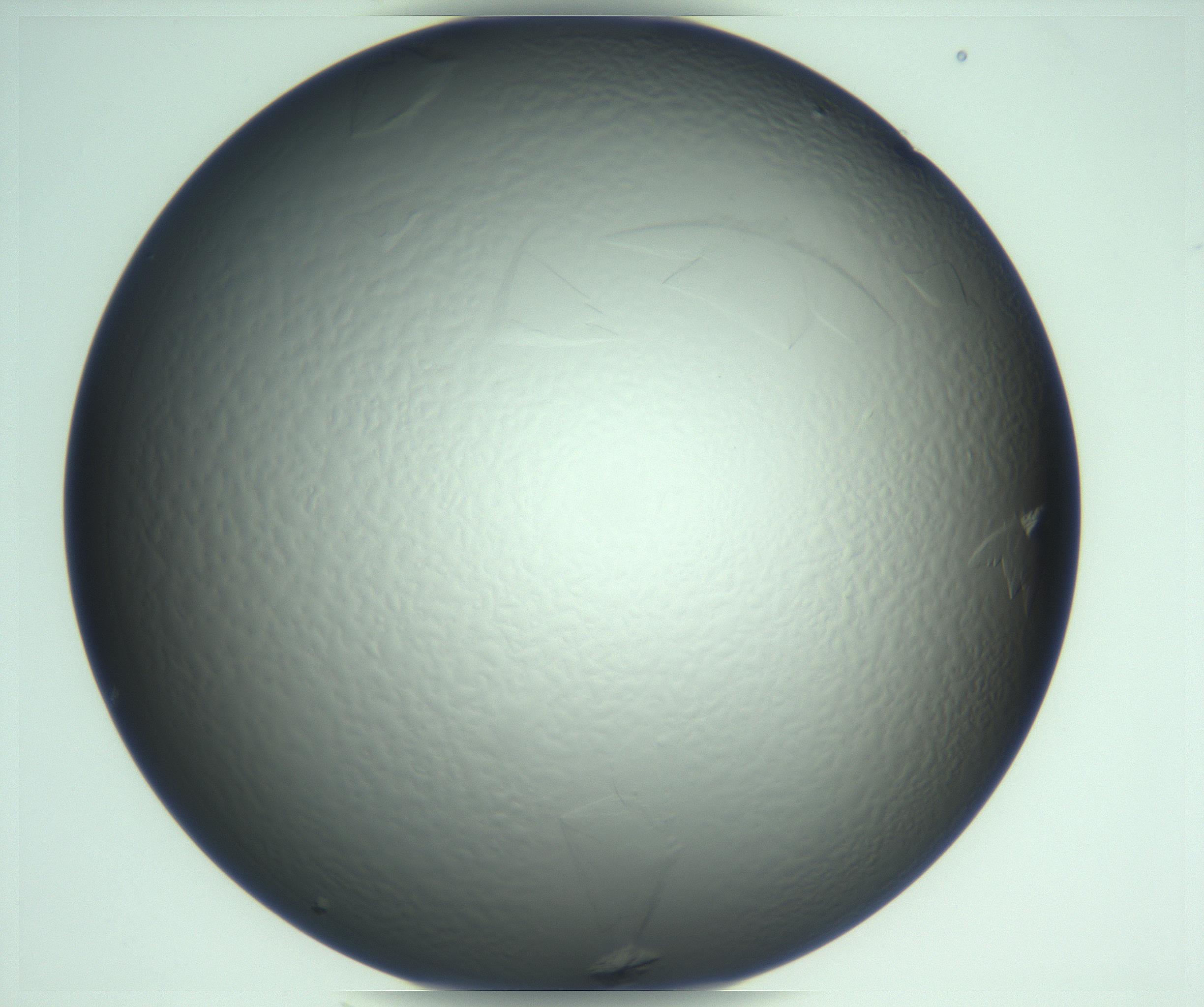 RI01_03_000_0212_Proj1_Clon1_MC_0000MC103285_002_170218_06_06_02_00_99_002_001_RAI.jpg