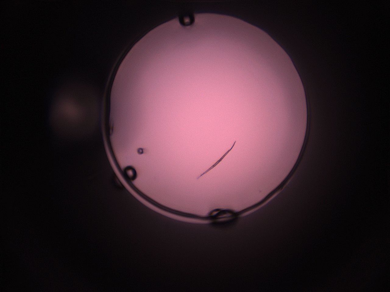 05i5_P9_ImagerDefaults_1.jpg