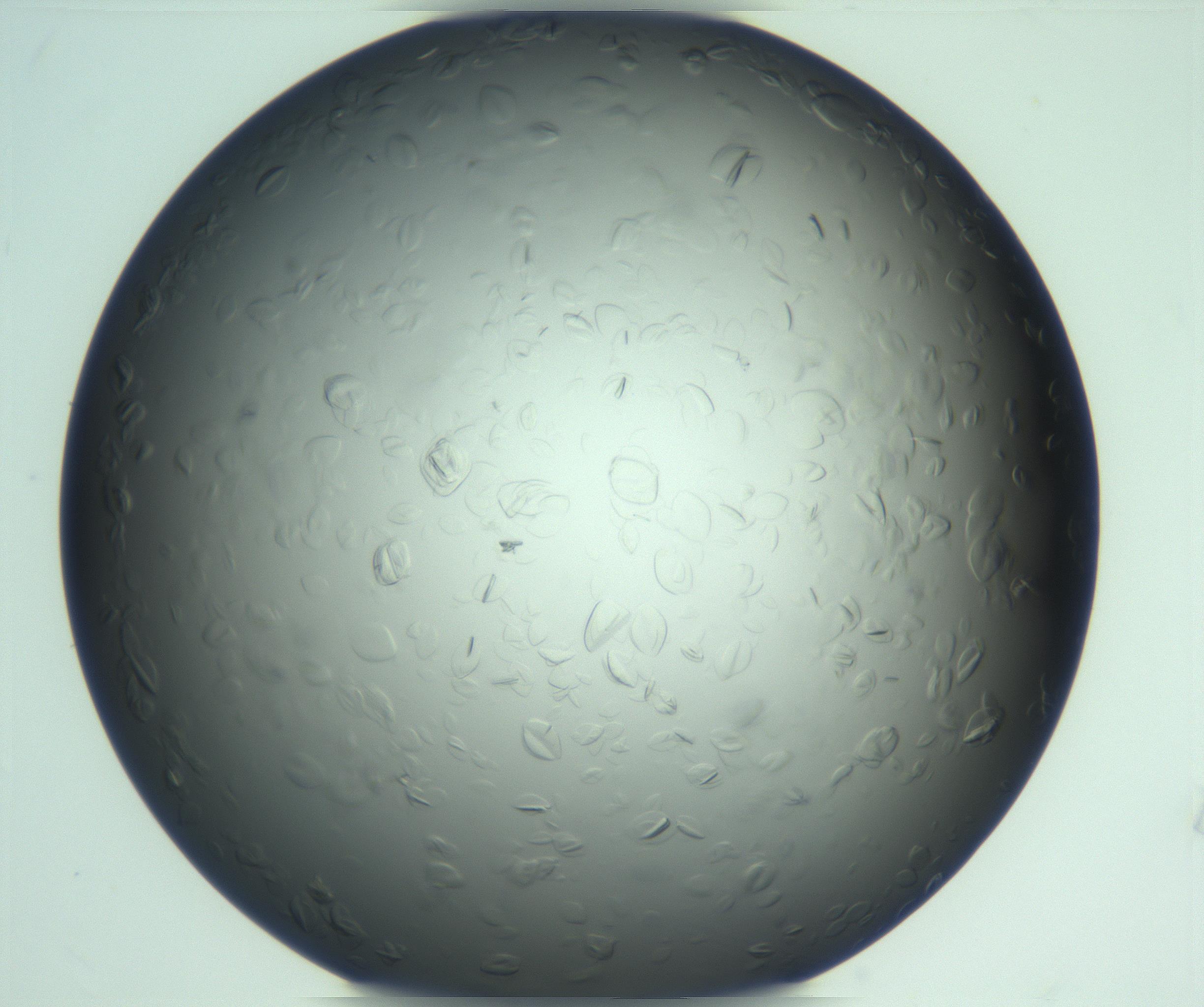RI01_03_000_0212_Proj1_Clon1_MC_0000MC103285_002_170218_09_07_01_00_99_002_001_RAI.jpg