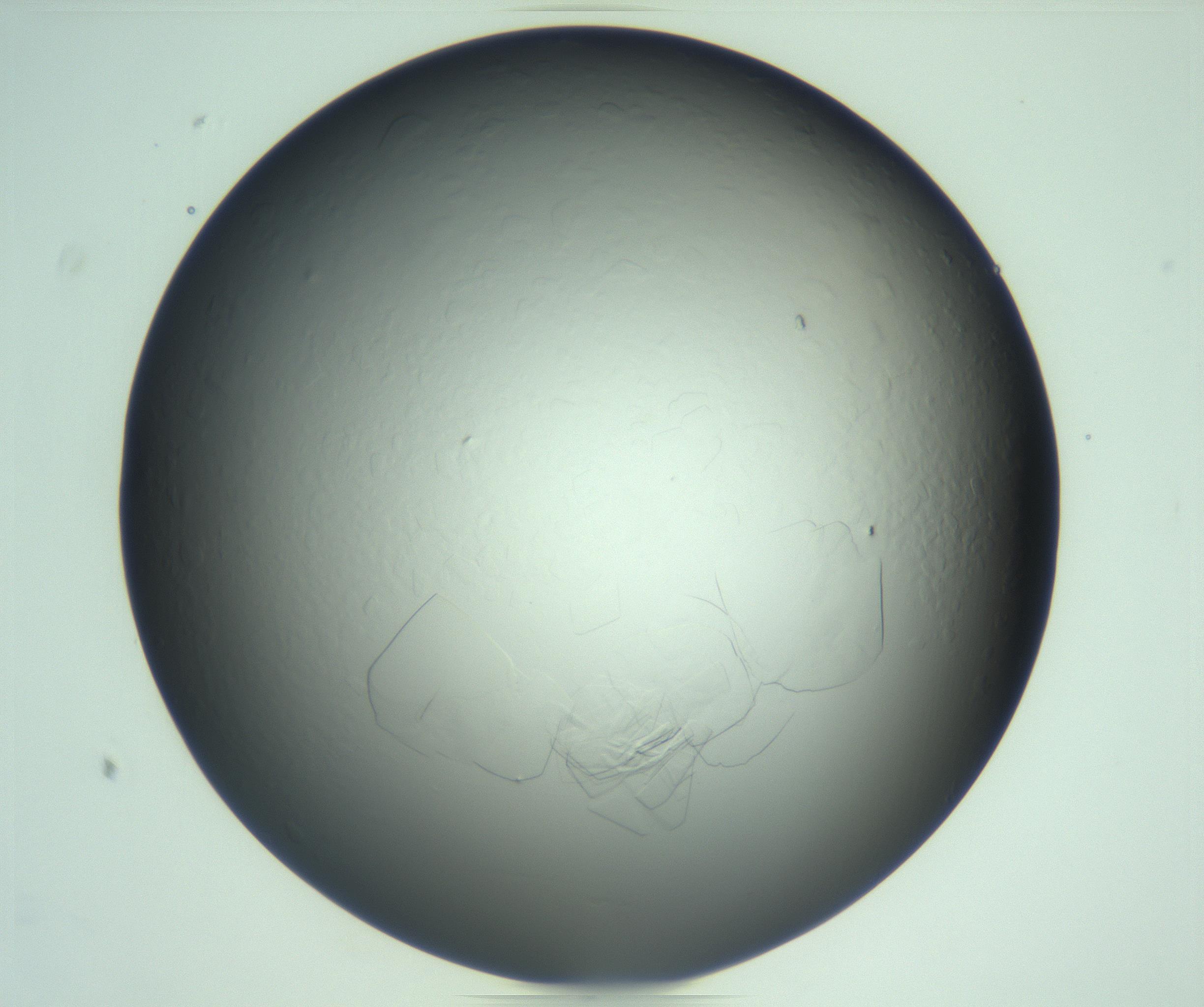 RI01_03_000_0212_Proj1_Clon1_MC_0000MC103285_002_170218_10_03_02_00_99_002_001_RAI.jpg