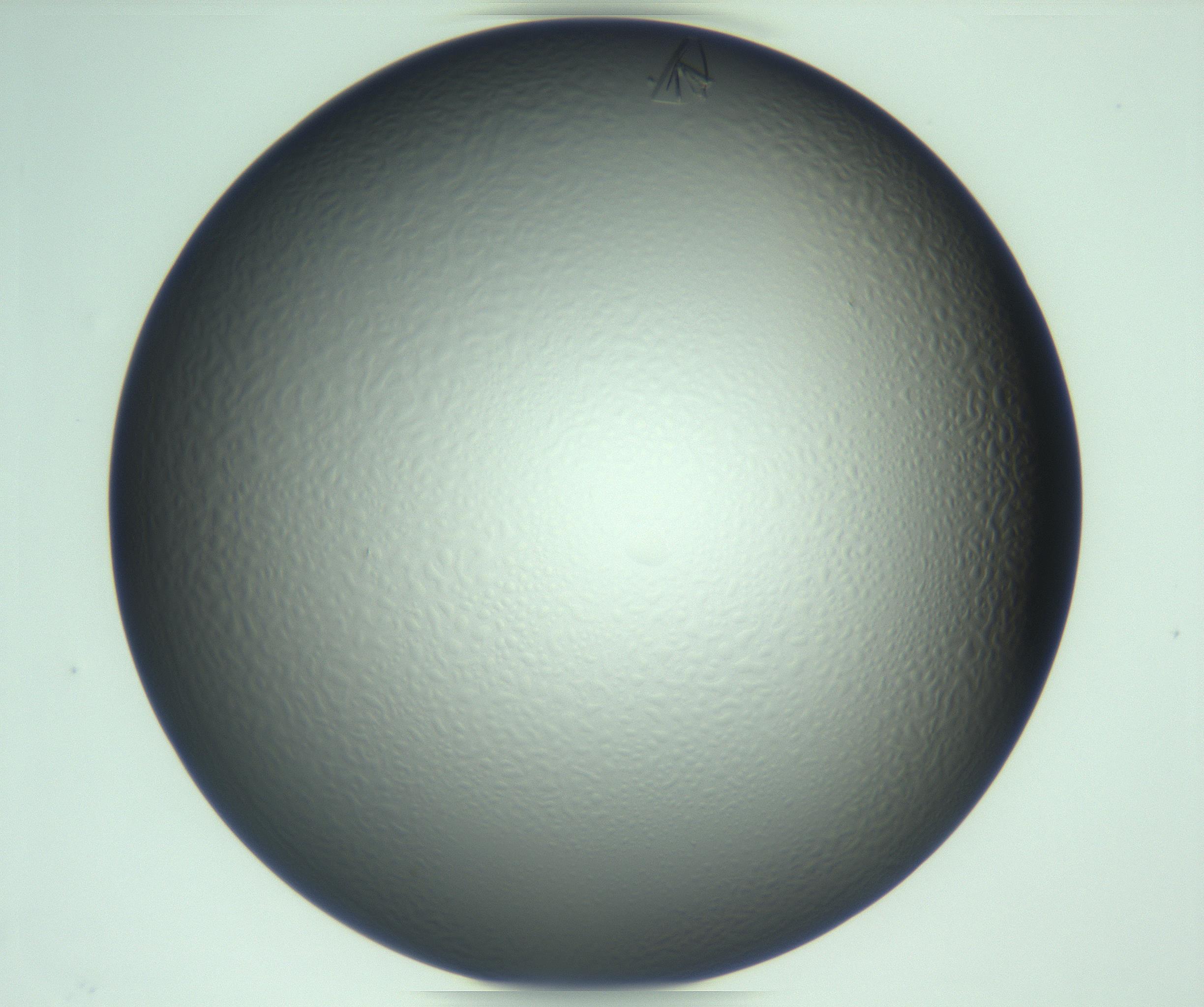 RI01_03_000_0212_Proj1_Clon1_MC_0000MC103285_002_170218_10_04_01_00_99_002_001_RAI.jpg