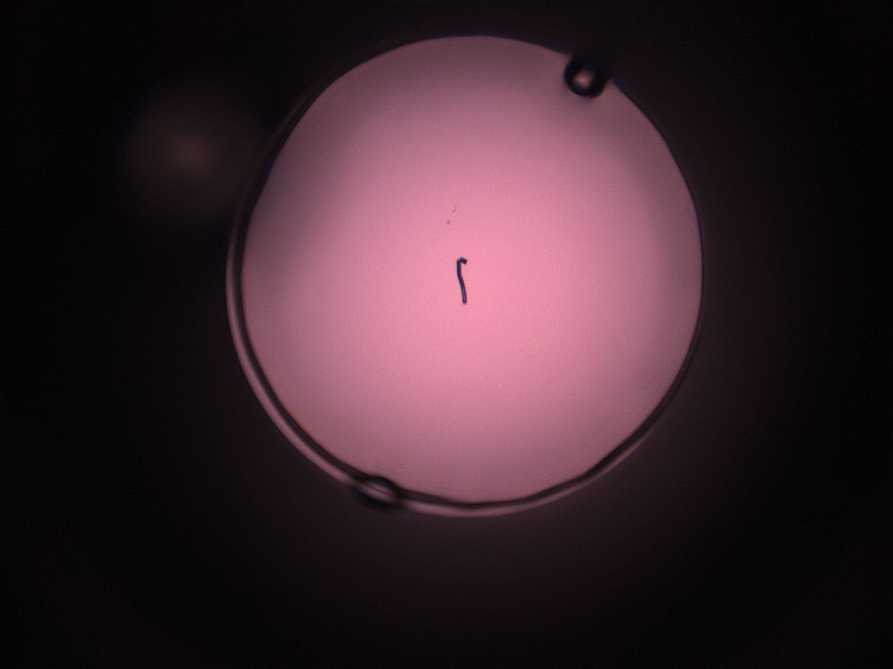 05i5_P10_ImagerDefaults_1.jpg