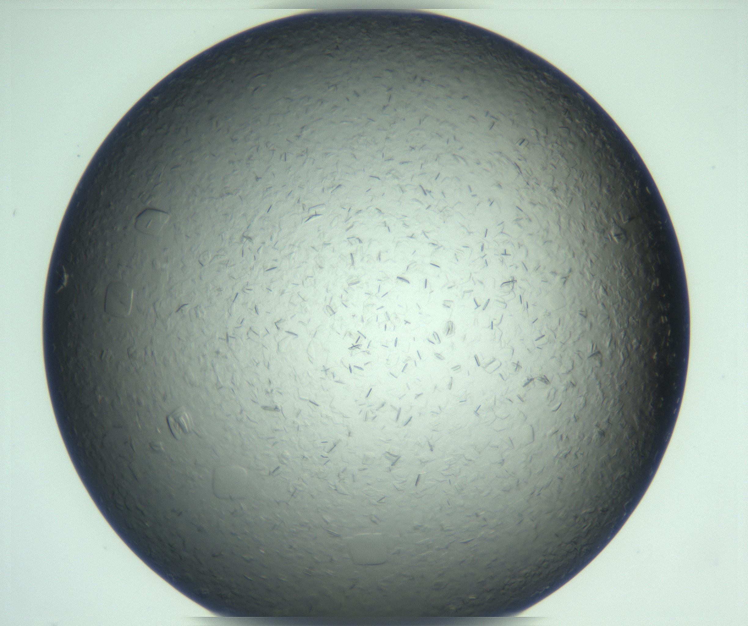 RI01_03_000_0212_Proj1_Clon1_MC_0000MC103285_002_170218_10_06_01_00_99_002_001_RAI.jpg