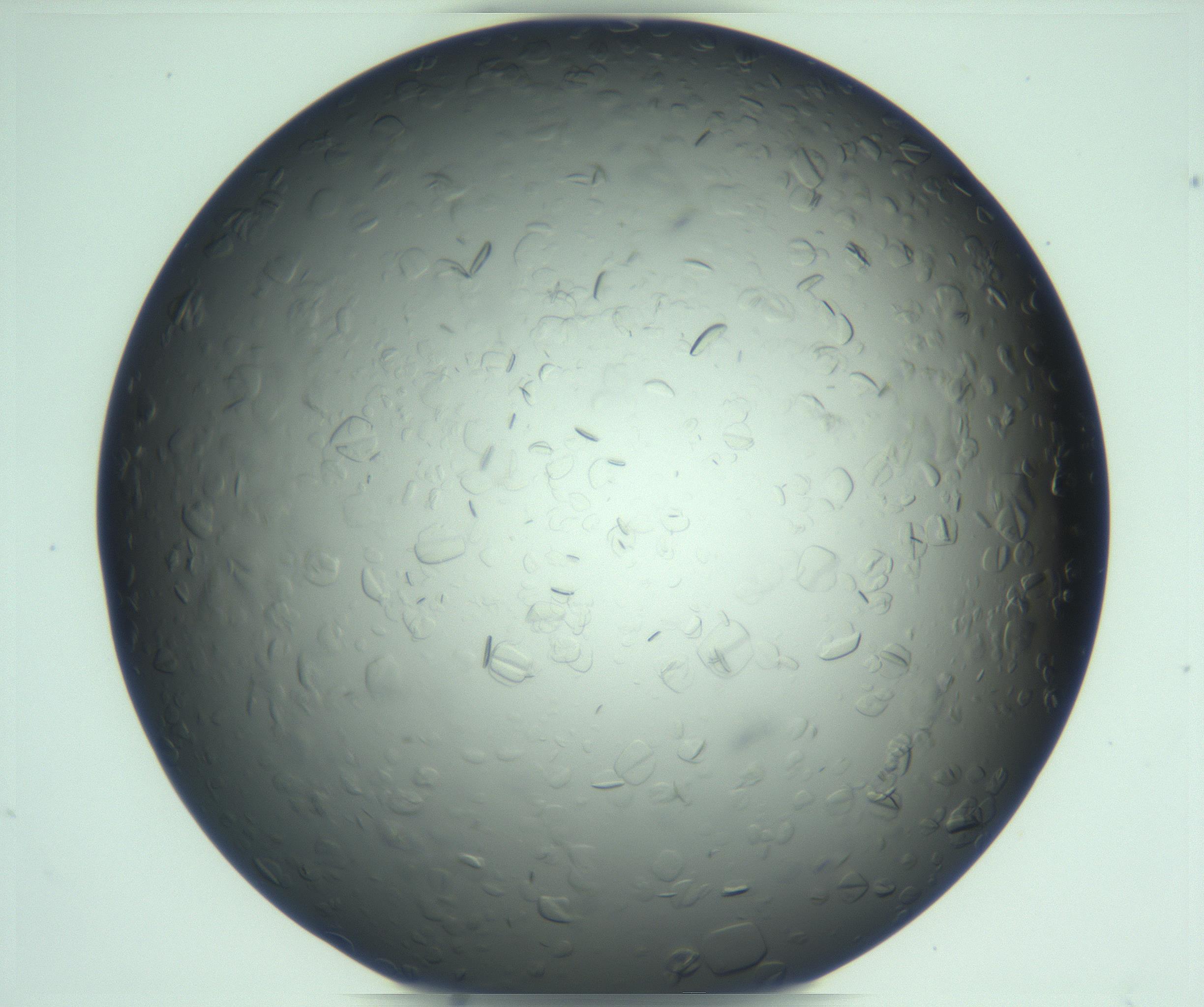 RI01_03_000_0212_Proj1_Clon1_MC_0000MC103285_002_170218_11_07_01_00_99_002_001_RAI.jpg