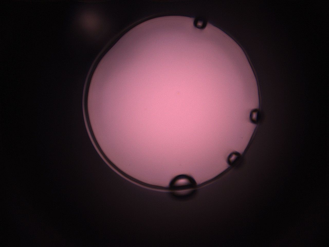 05i5_P11_ImagerDefaults_1.jpg