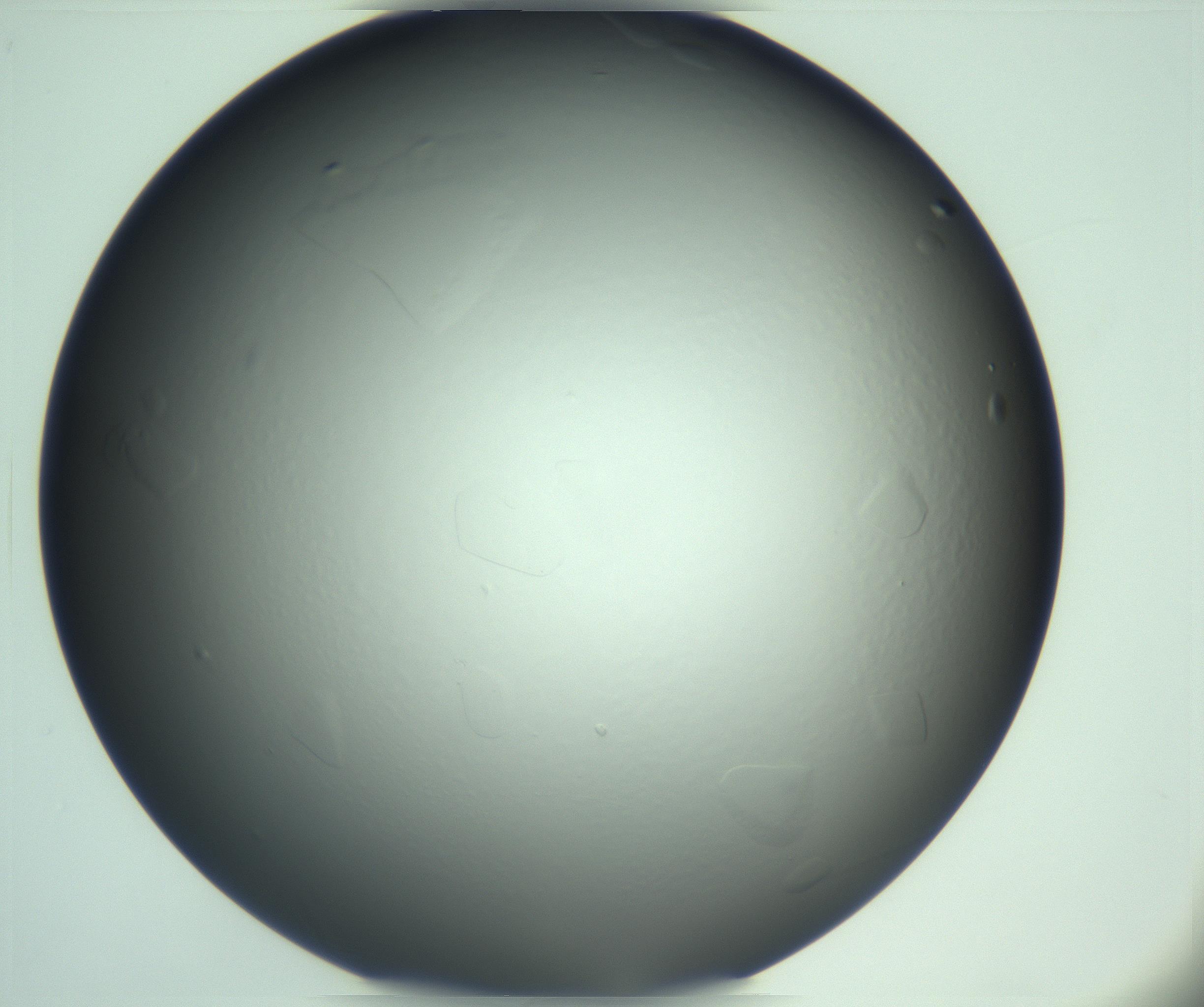 RI01_03_000_0212_Proj1_Clon1_MC_0000MC103285_003_170220_01_02_01_00_99_002_001_RAI.jpg