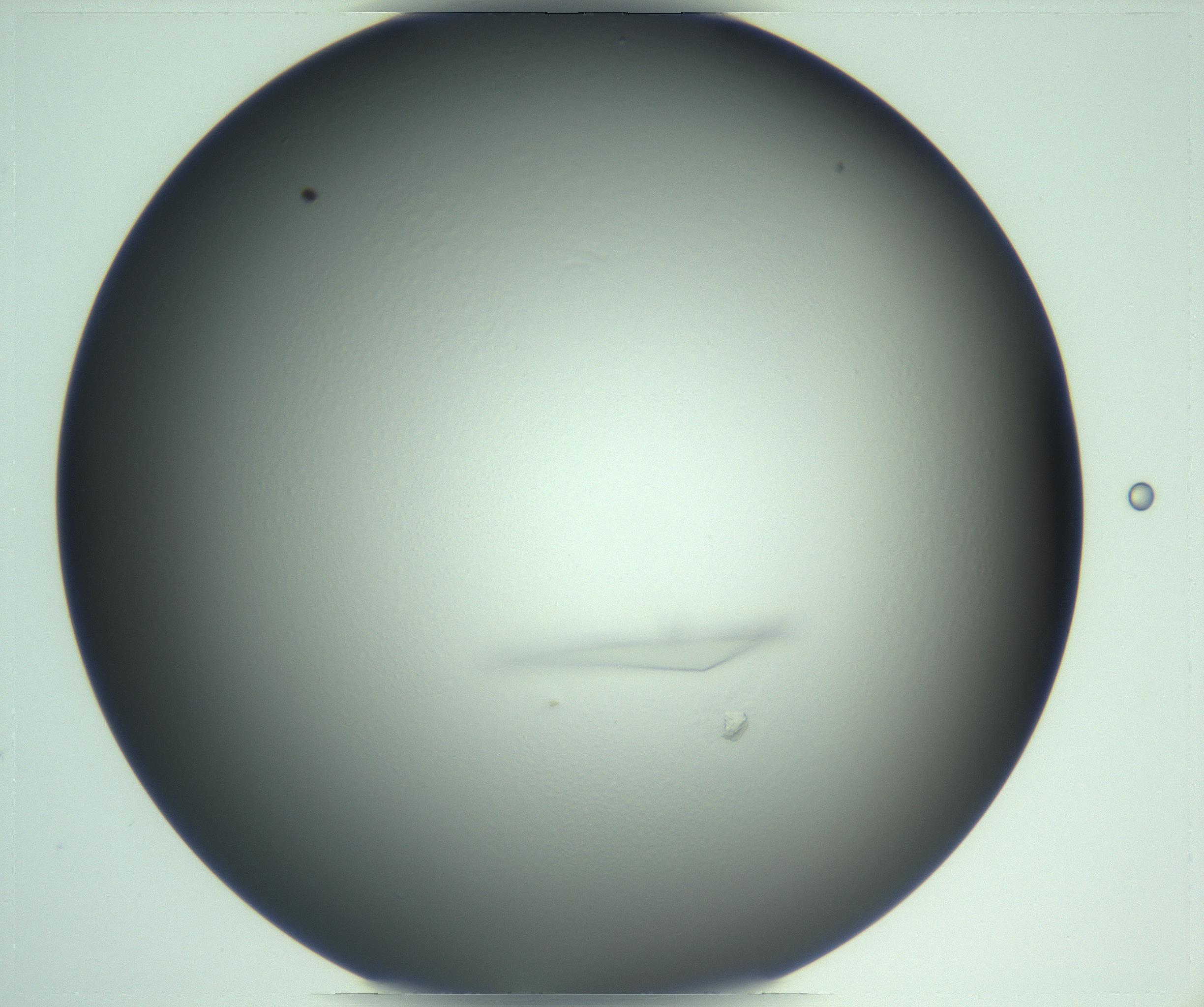 RI01_03_000_0212_Proj1_Clon1_MC_0000MC103285_003_170220_01_02_02_00_99_002_001_RAI.jpg