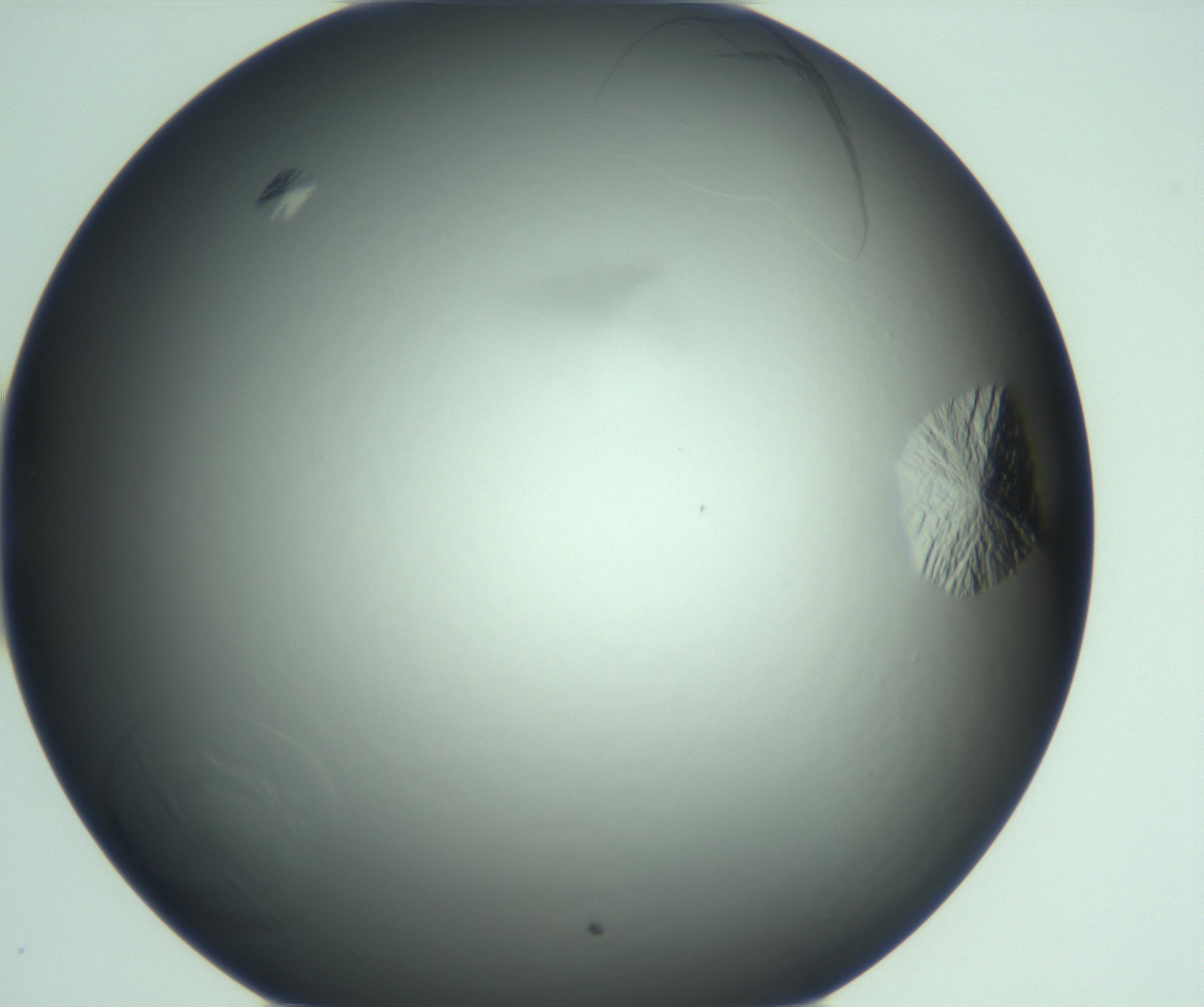 RI01_03_000_0212_Proj1_Clon1_MC_0000MC103285_003_170220_04_06_01_00_99_002_001_RAI.jpg