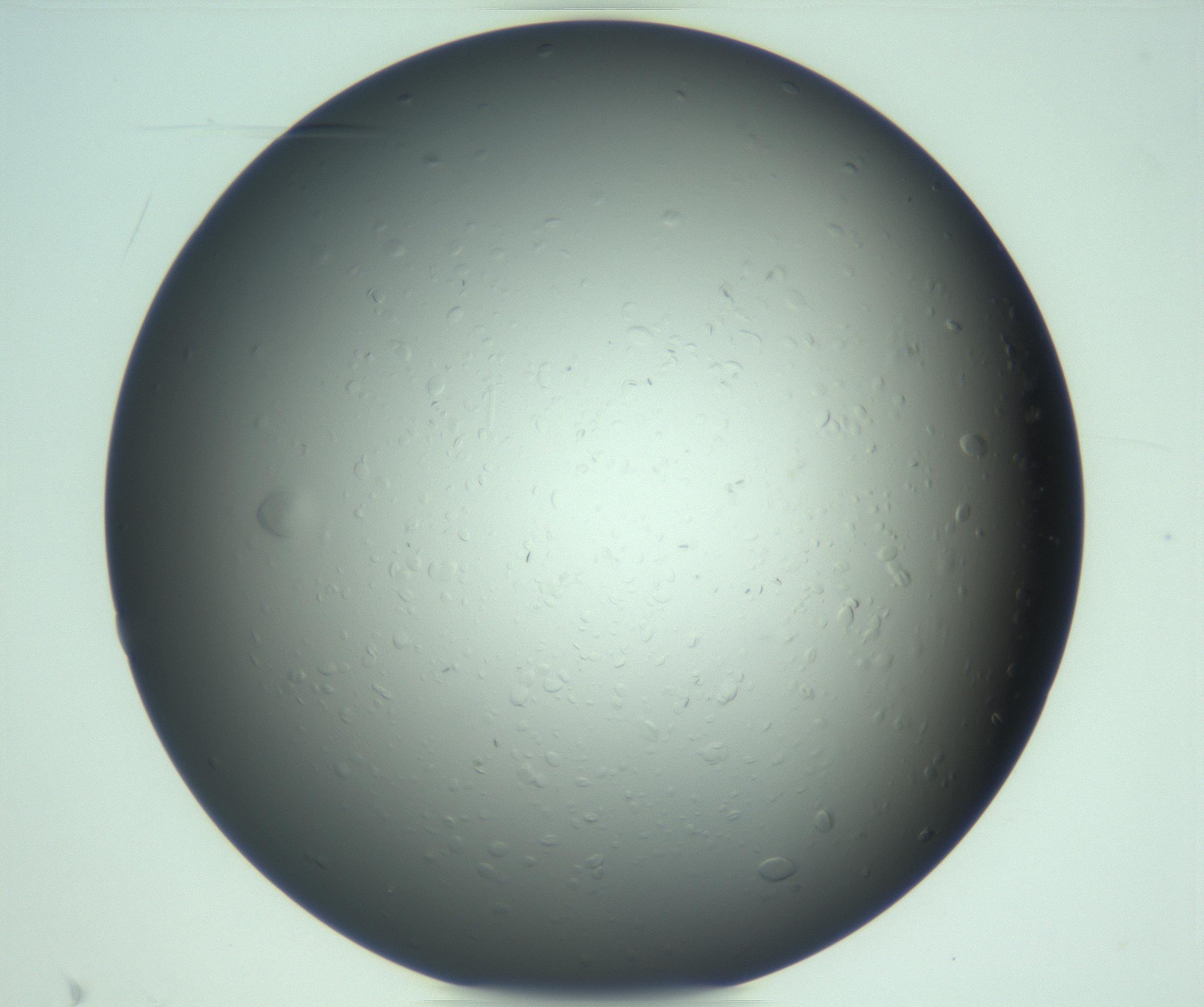 RI01_03_000_0212_Proj1_Clon1_MC_0000MC103285_003_170220_10_07_02_00_99_002_001_RAI.jpg
