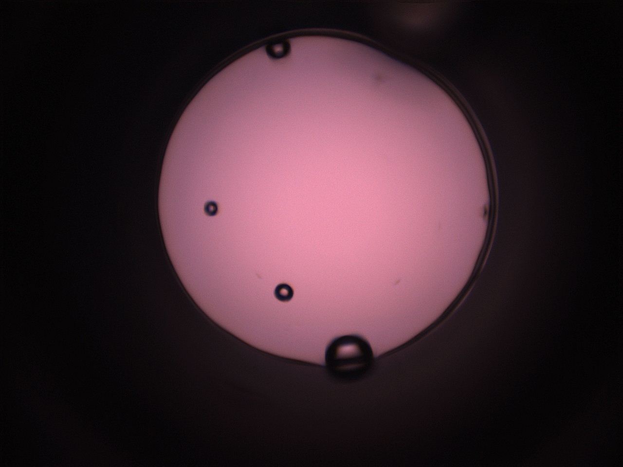05i5_P14_ImagerDefaults_1.jpg