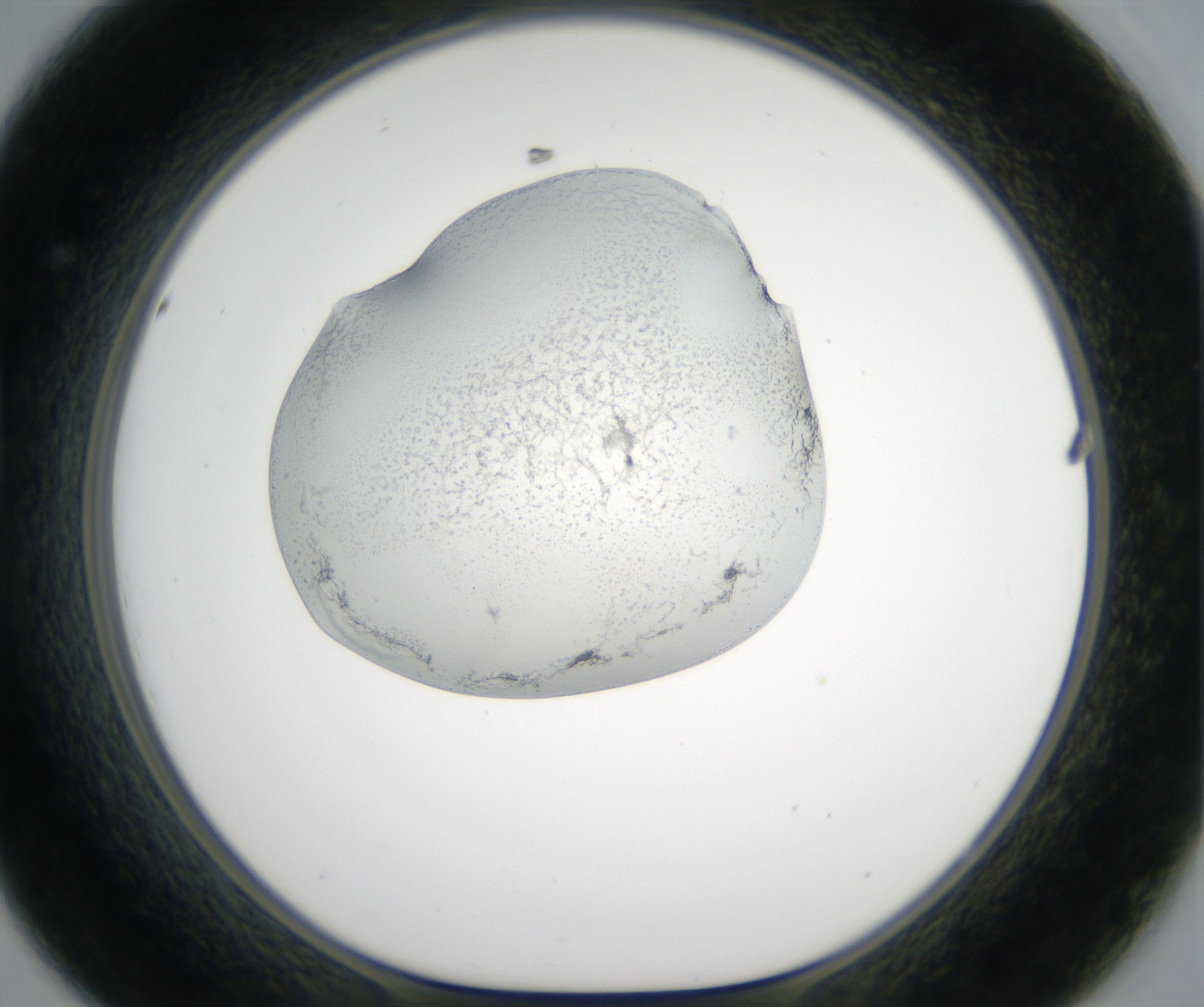 D8_HighResolution_Precipitate_1.jpg