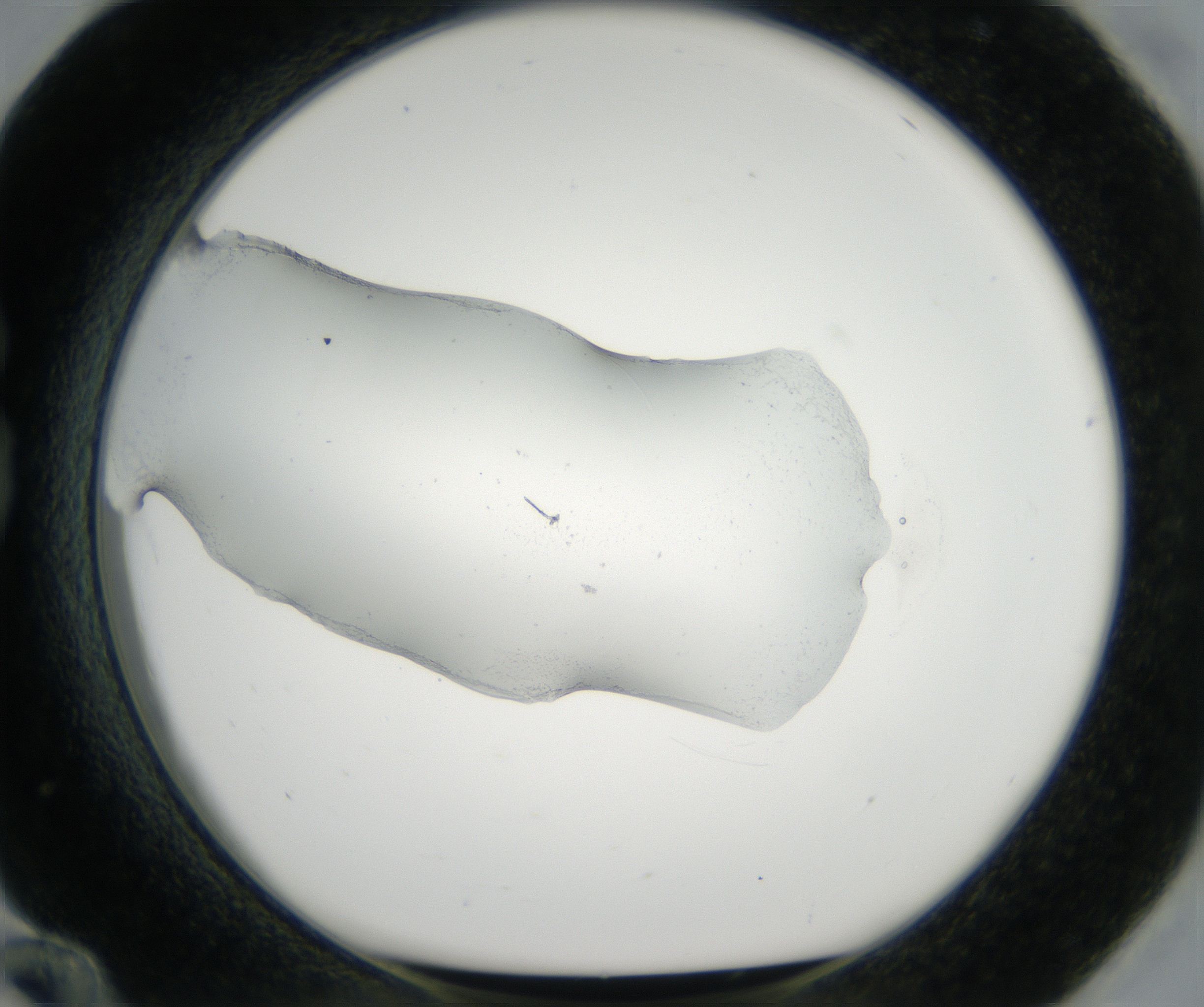 G12_HighResolution_Precipitate_1.jpg