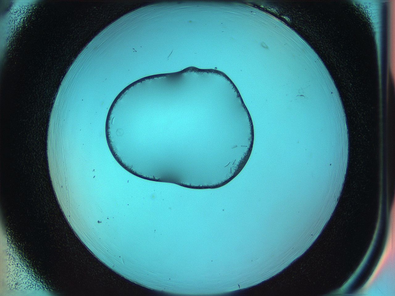 05i8_B6_ImagerDefaults_9.jpg