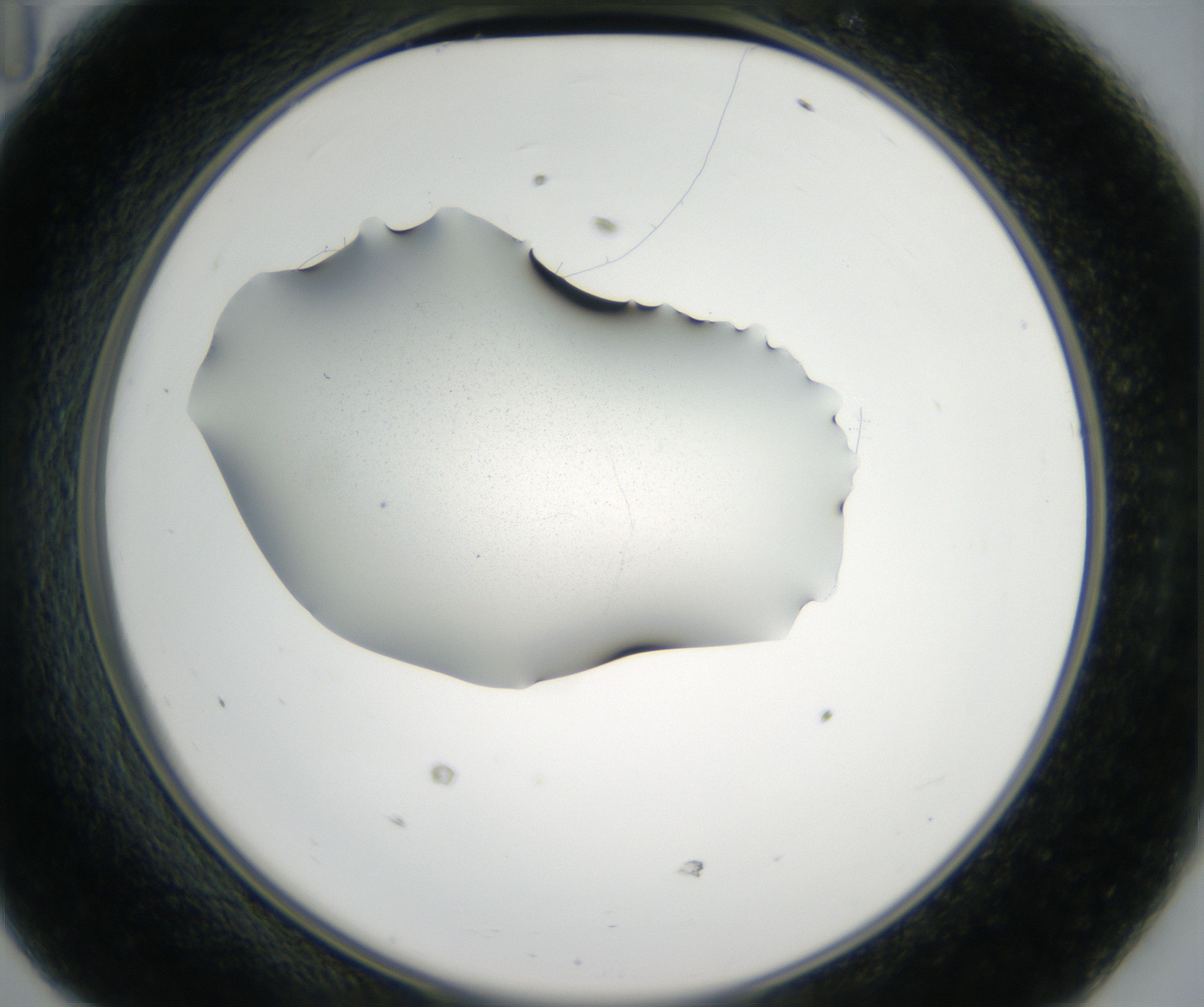 D11_HighResolution_Precipitate_2.jpg