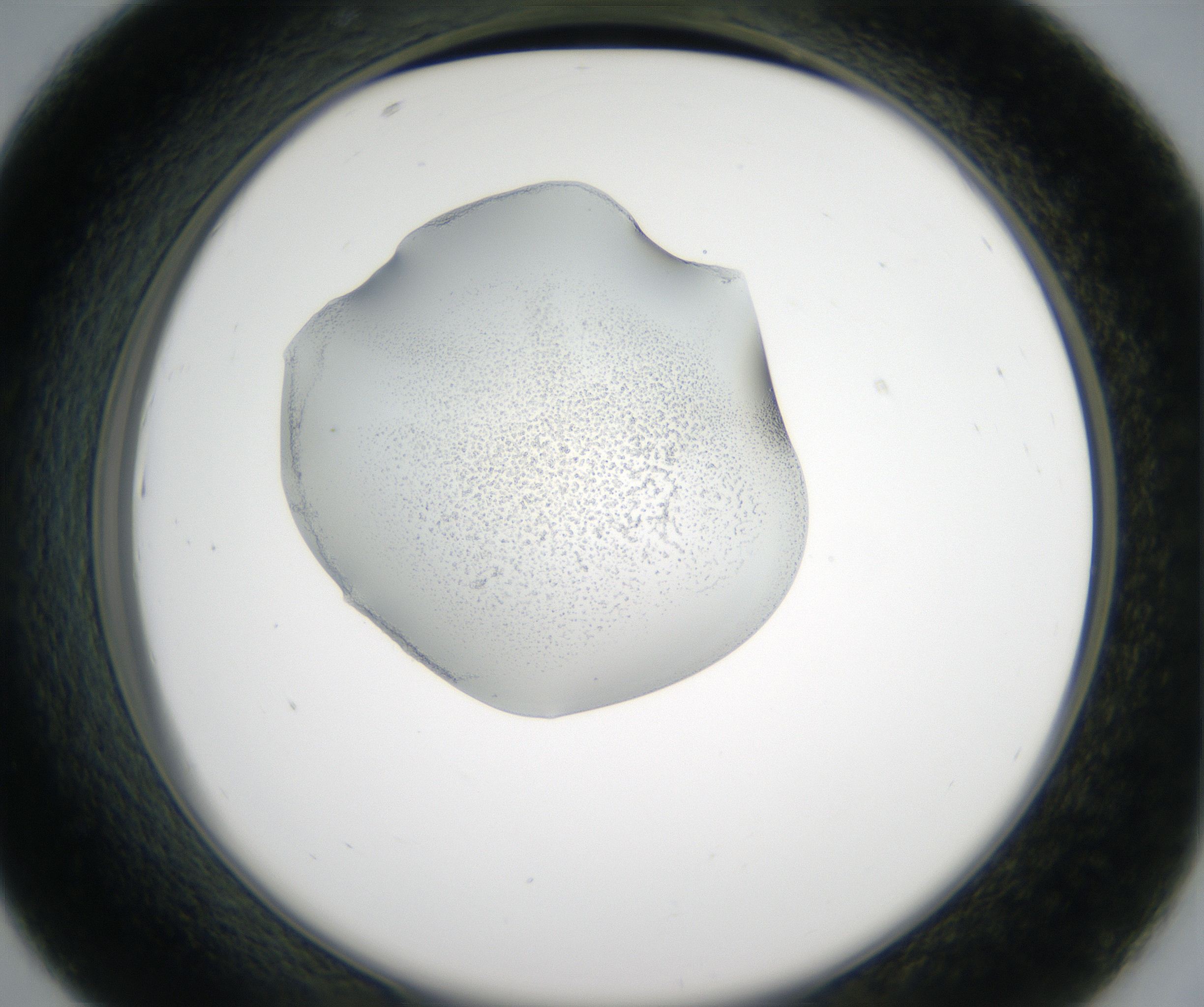 D7_HighResolution_Precipitate_2.jpg