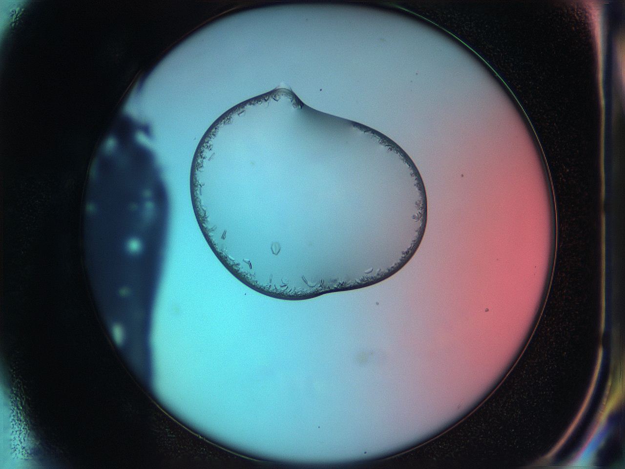 05ia_G7_ImagerDefaults_9.jpg