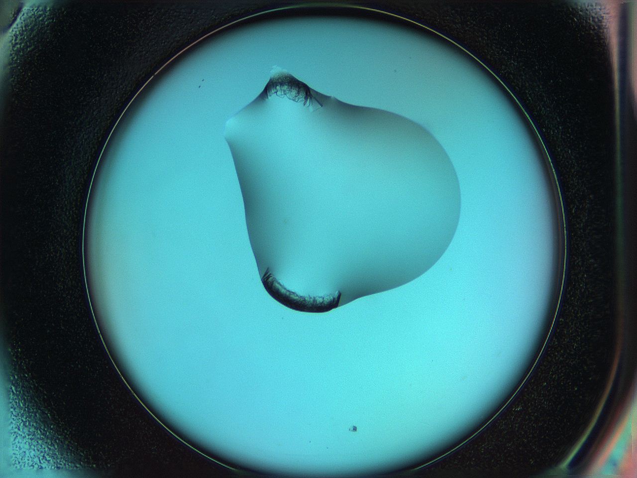 05ib_H5_ImagerDefaults_9.jpg