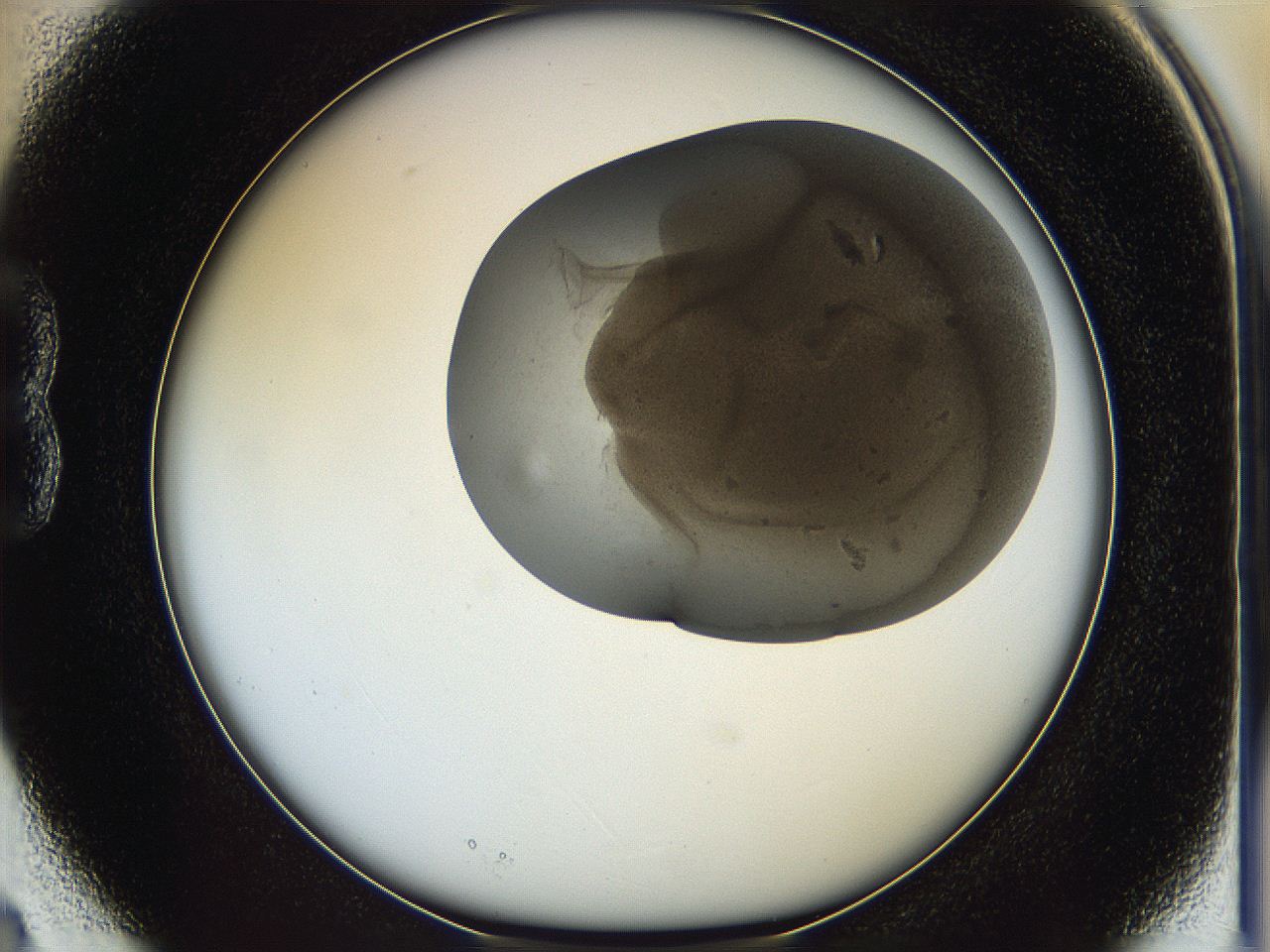 05il_B3_ImagerDefaults_6.jpg