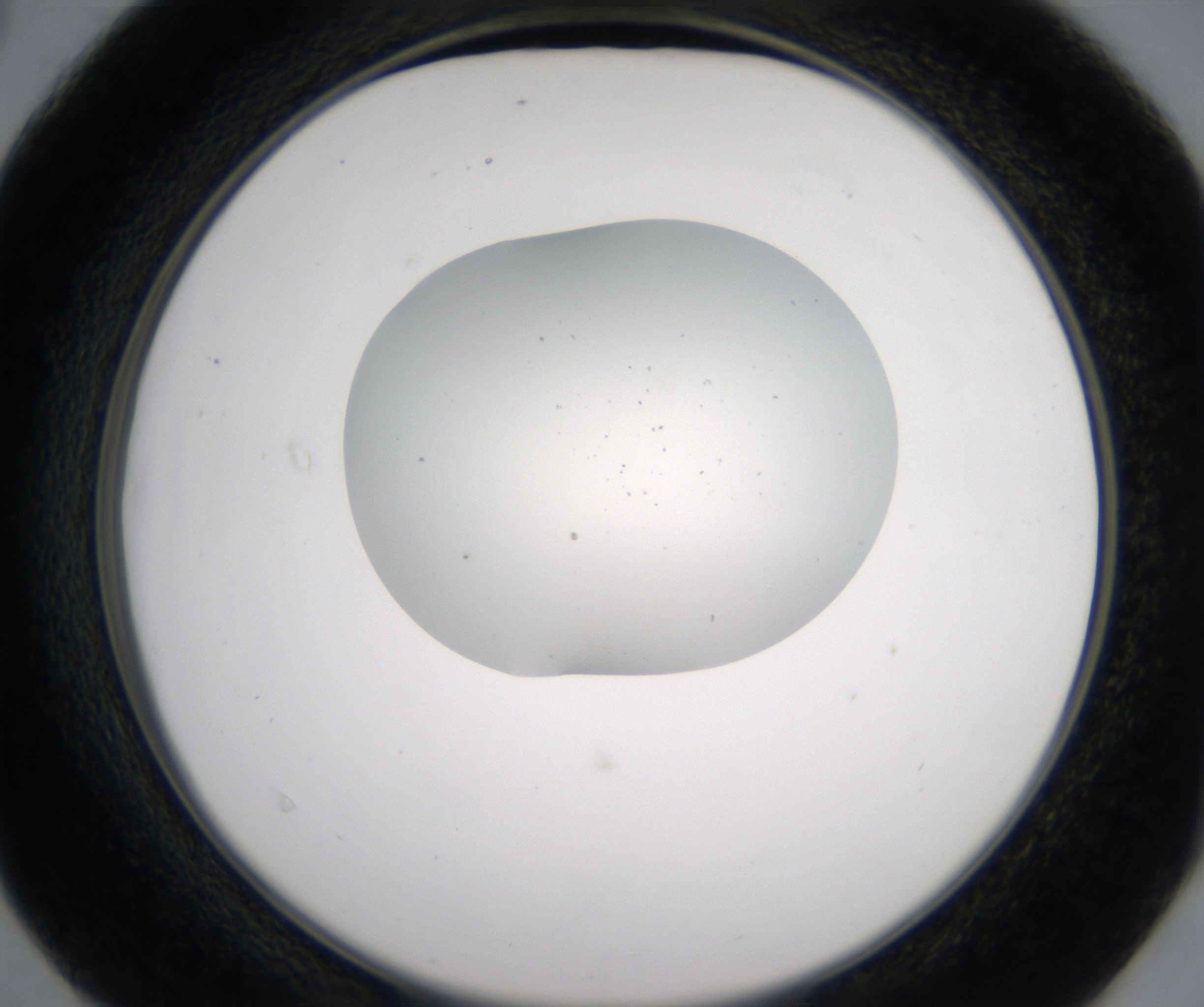 D4_HighResolution_Precipitate_2.jpg